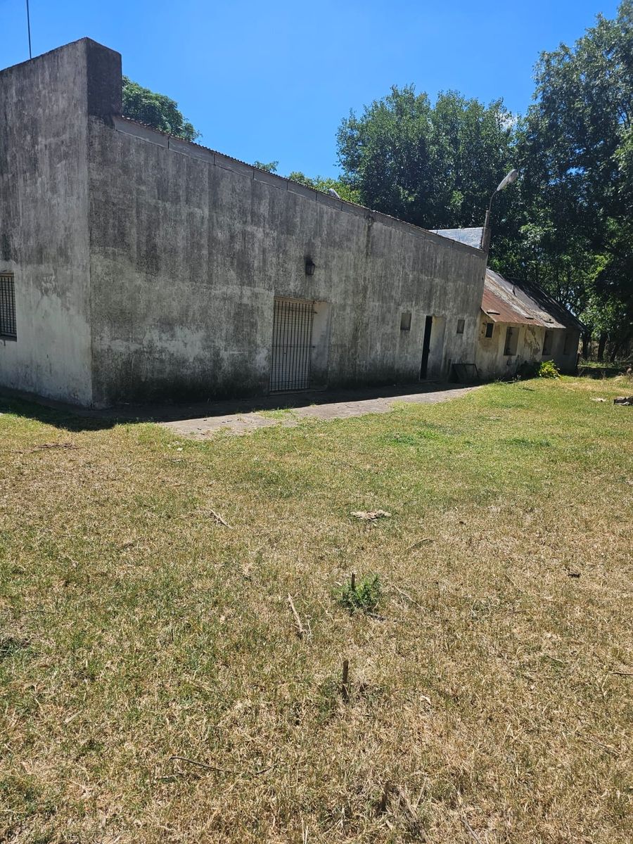 Excelente oportunidad 2 fracciones de campo en la localidad deEnrique Fynn. — foto 12