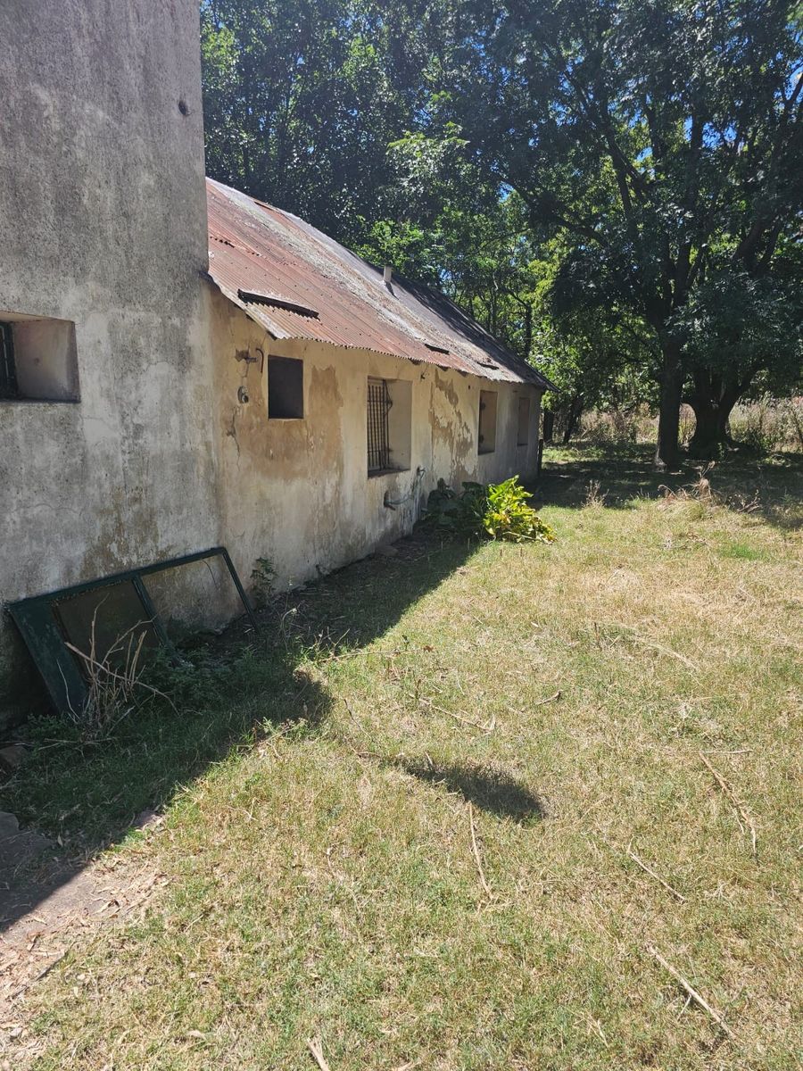 Excelente oportunidad 2 fracciones de campo en la localidad deEnrique Fynn. — foto 14
