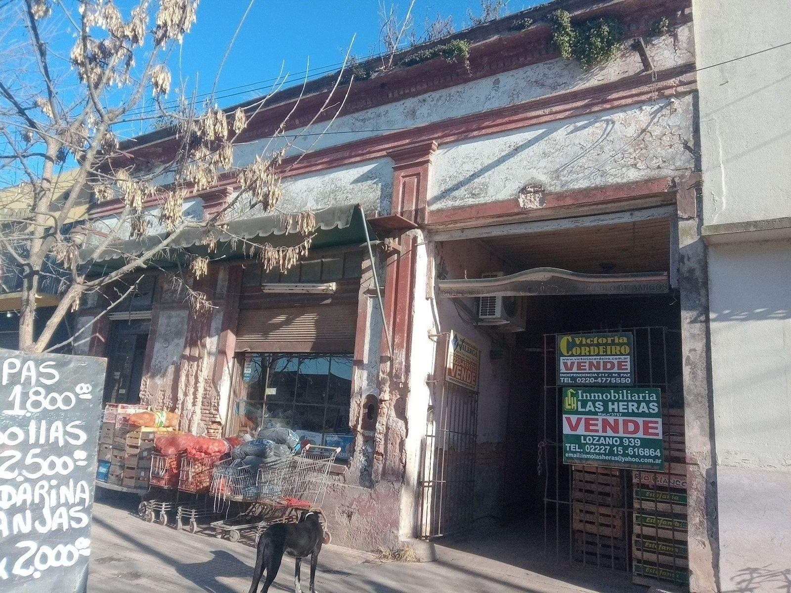 Oportunidad de inversión: Complejo de 3 viviendas en PH a reciclar - 2