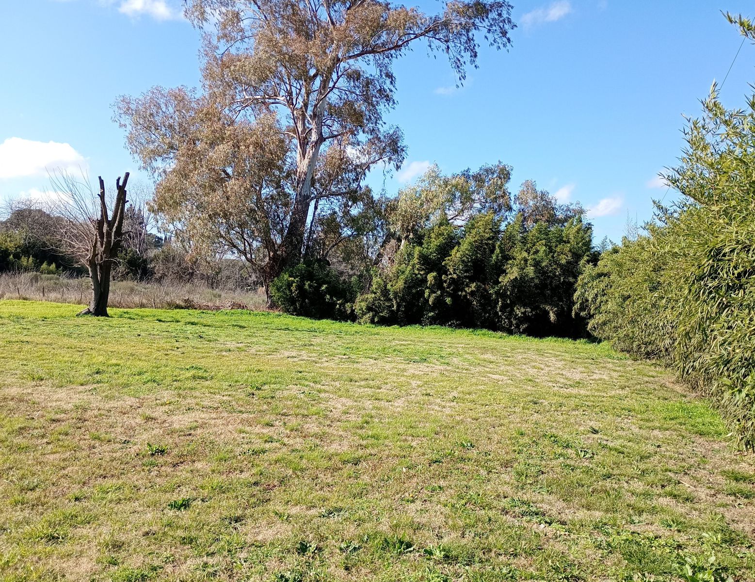 Quinta de descanso con amplias dimensiones y entorno tranquilo