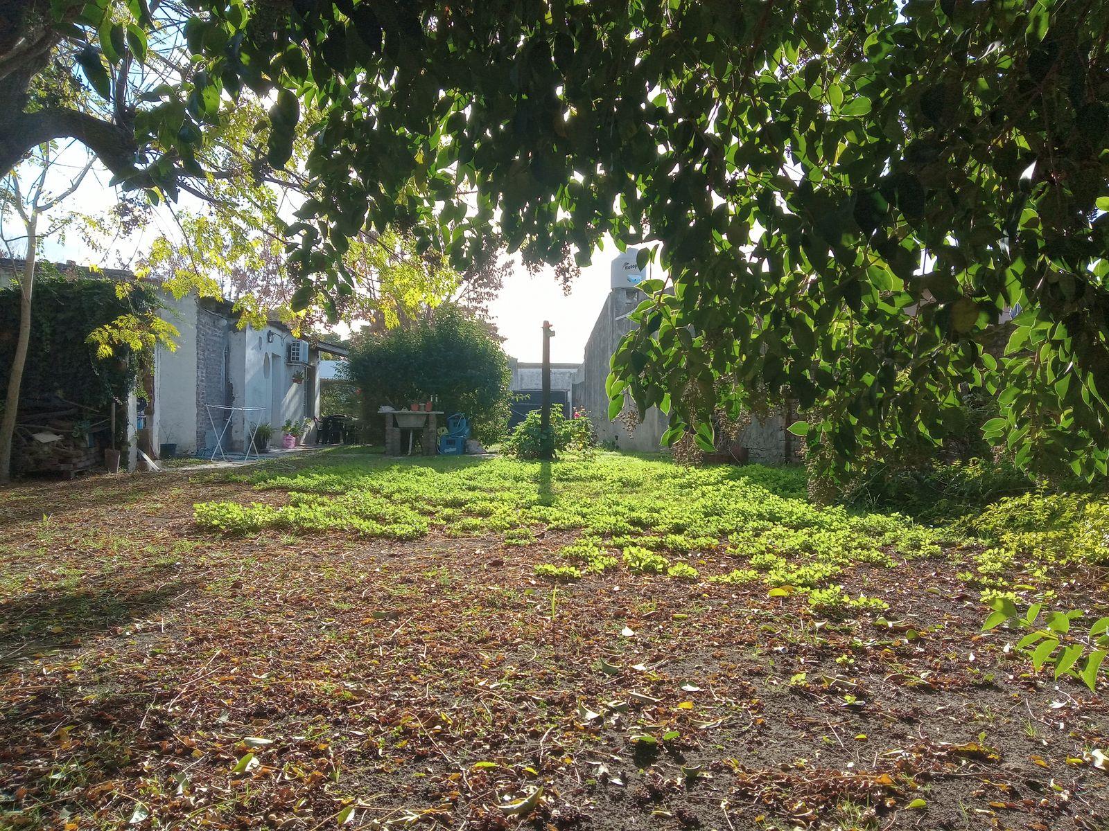 Oportunidad de inversión en Arias 664: Casa, local y departamento sobre amplio terreno — foto 8