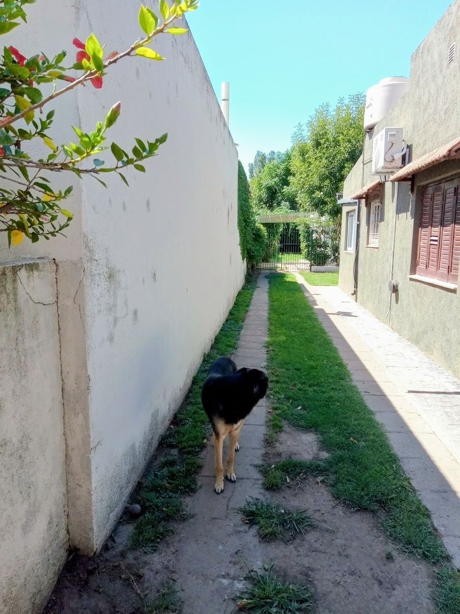Excelente oportunidad PH céntrico - 15