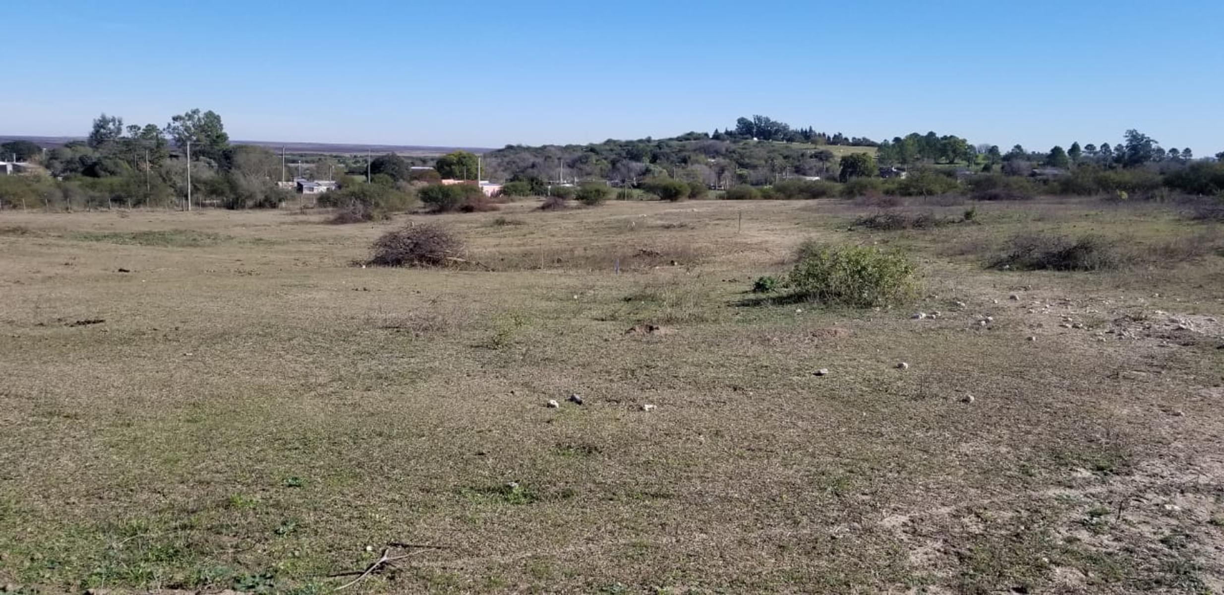 LOS ALTOS DE LA ABADÍA — foto 2