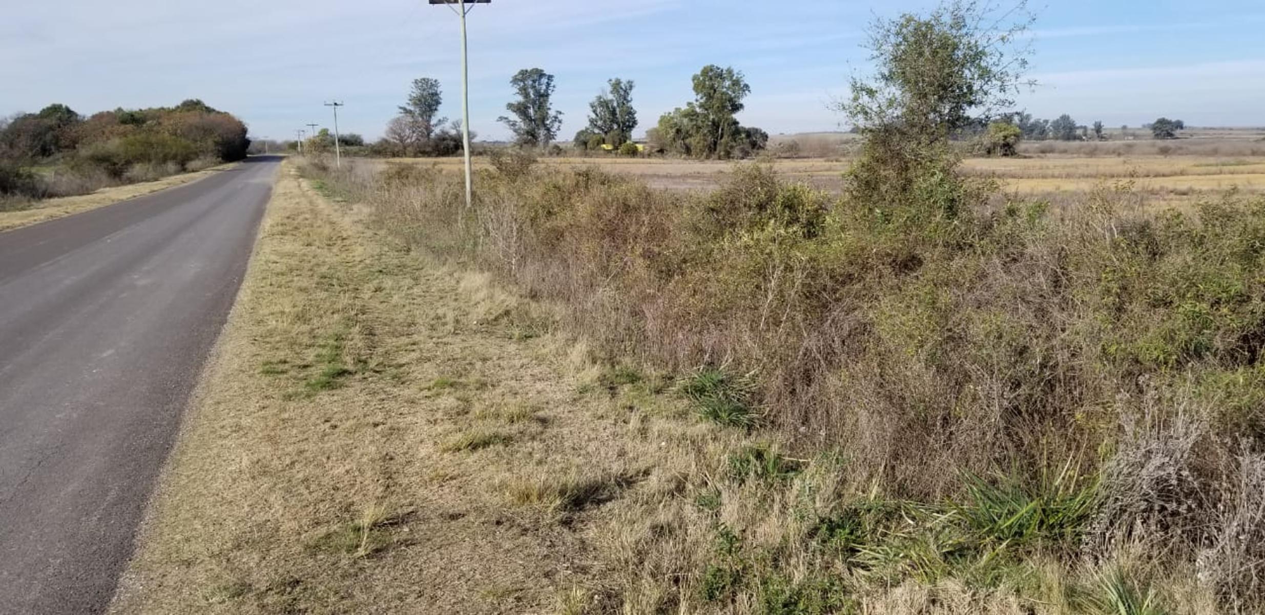 ¡Â¡Â¡Â¡O P O R T U N I D A D 29 HAS. EN ANTELO - DEPARTAMENTO VICTORIA ENTRE RIOS — foto 2