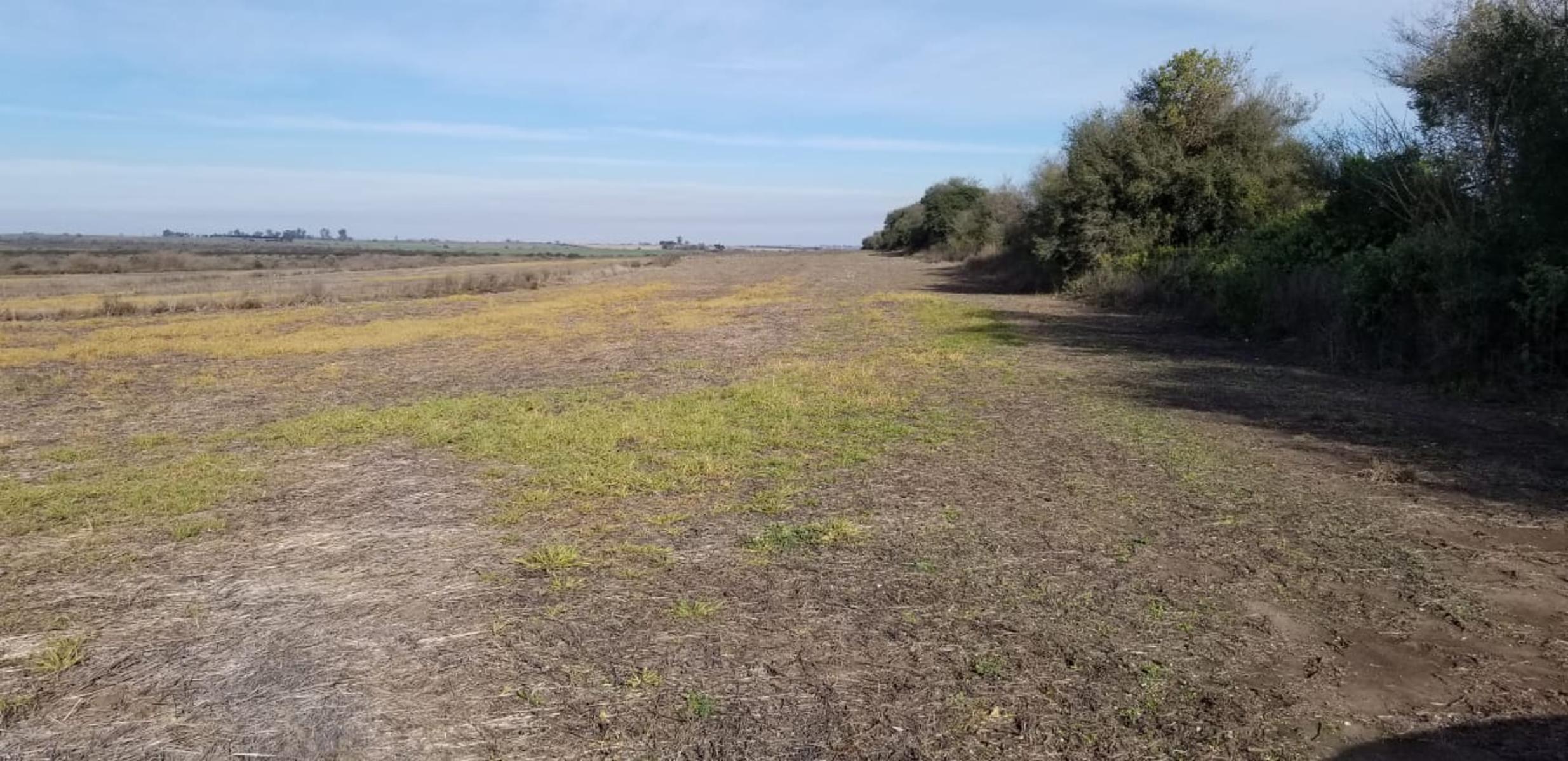 ¡Â¡Â¡Â¡O P O R T U N I D A D 29 HAS. EN ANTELO - DEPARTAMENTO VICTORIA ENTRE RIOS — foto 4