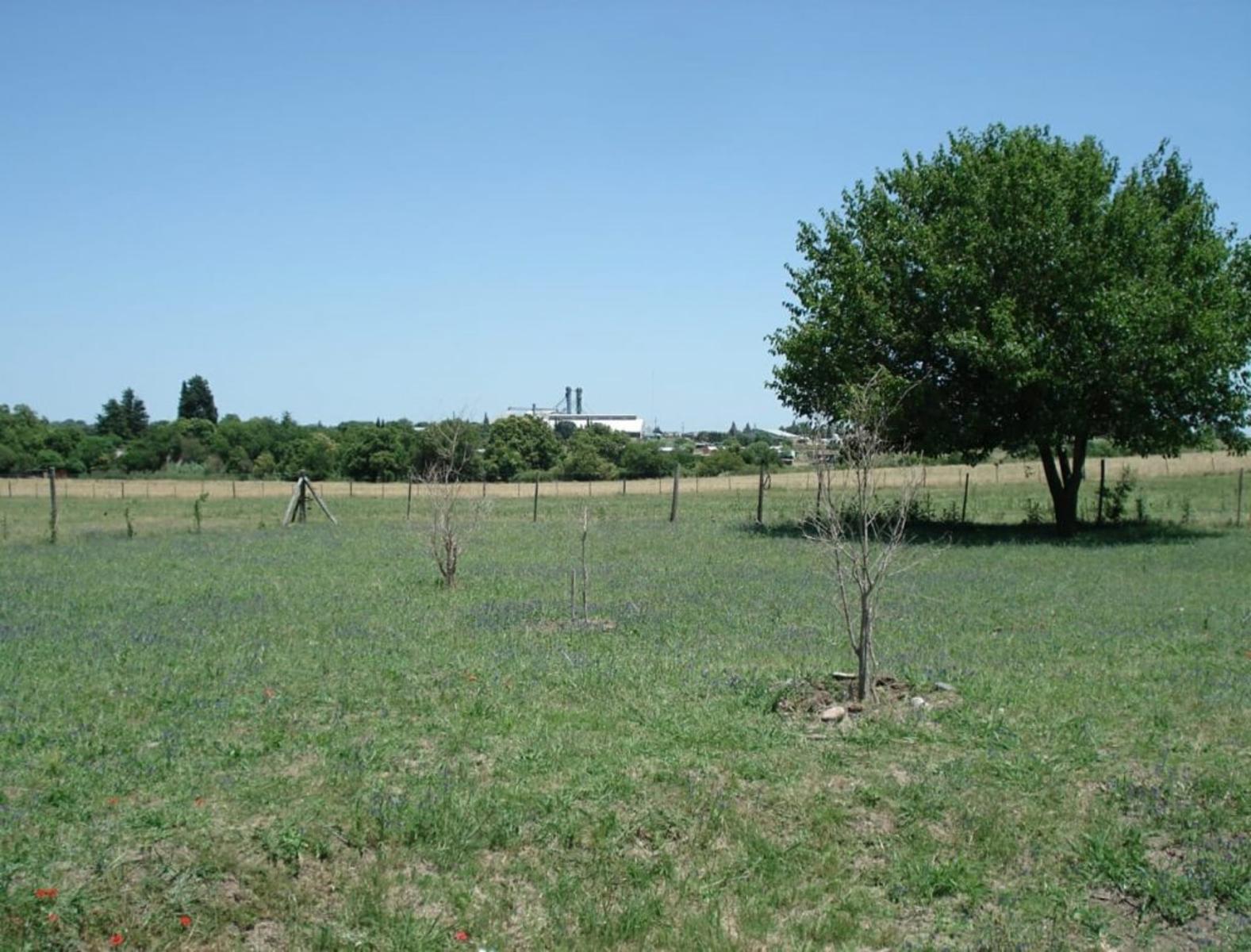 HERMOSO TERRENO 25×80 A 3000 METROS DE TERMAS DE VICTORIA — foto 2