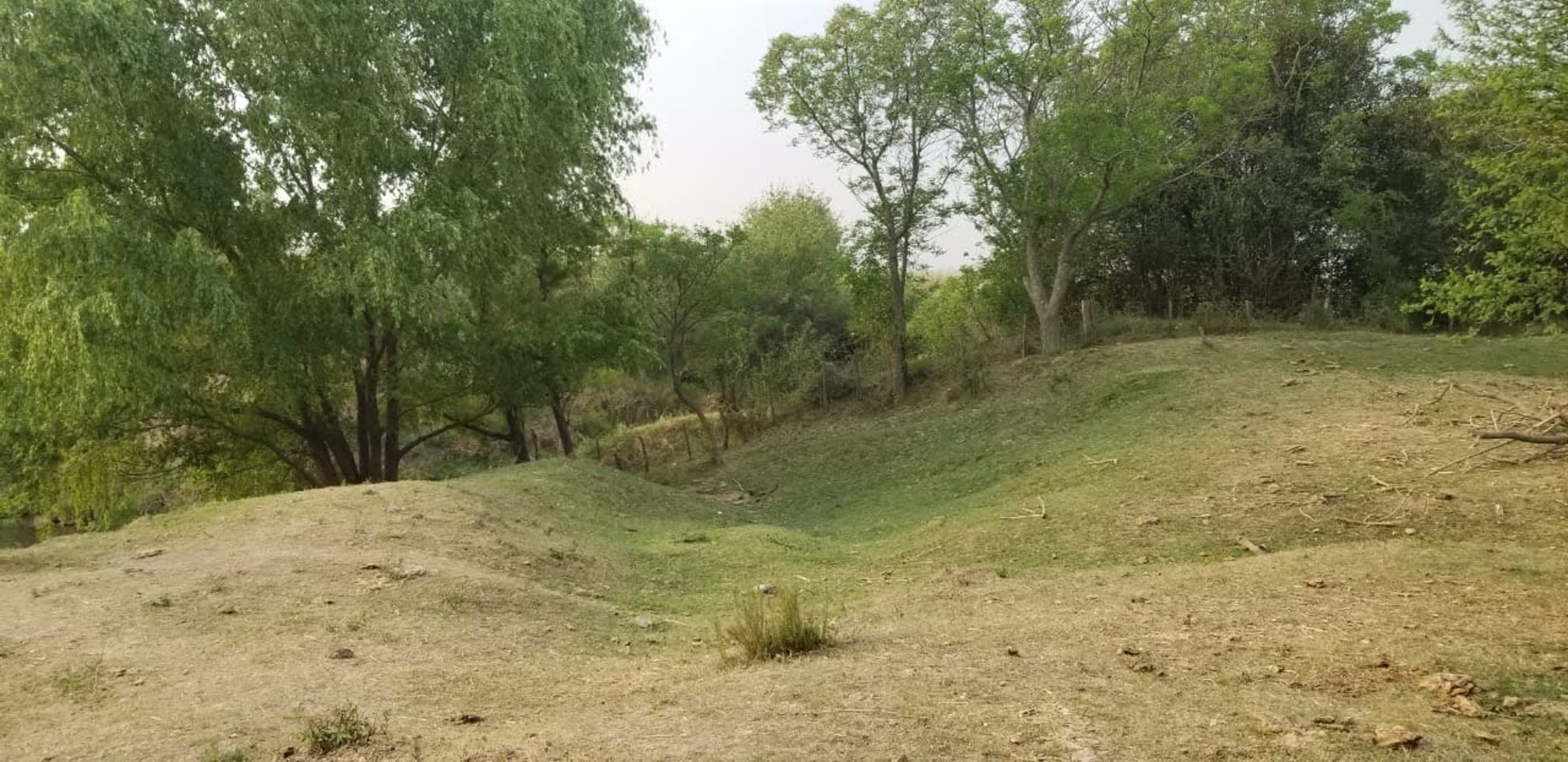 10 HAS DE CAMPO EN QUEBRACHITOS – DEPARTAMENTO VICTORIA - 2