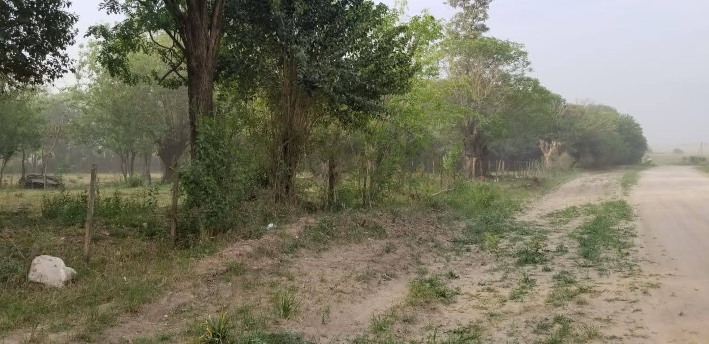 10 HAS DE CAMPO EN QUEBRACHITOS – DEPARTAMENTO VICTORIA - 3