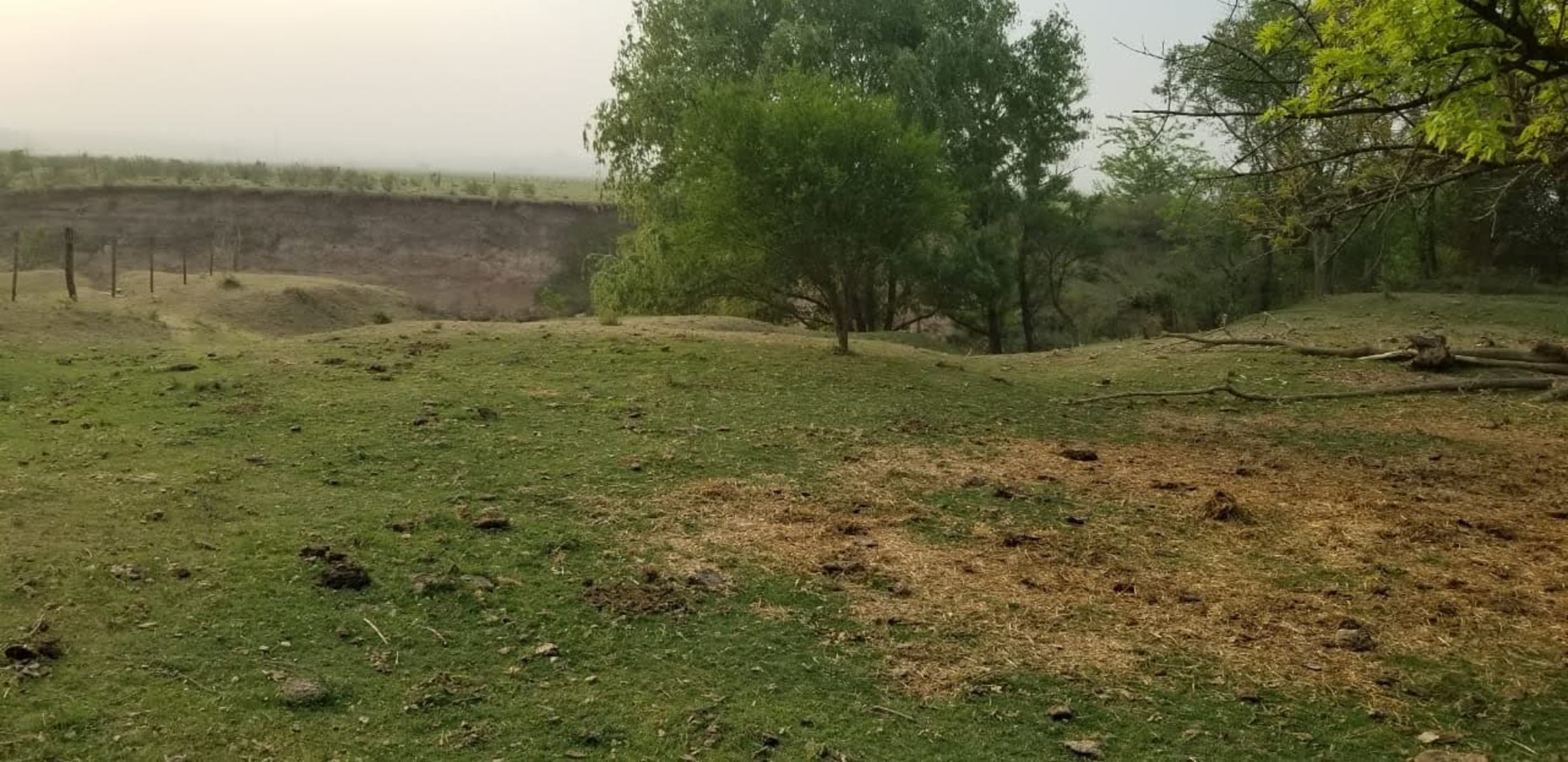 10 HAS DE CAMPO EN QUEBRACHITOS – DEPARTAMENTO VICTORIA - 6