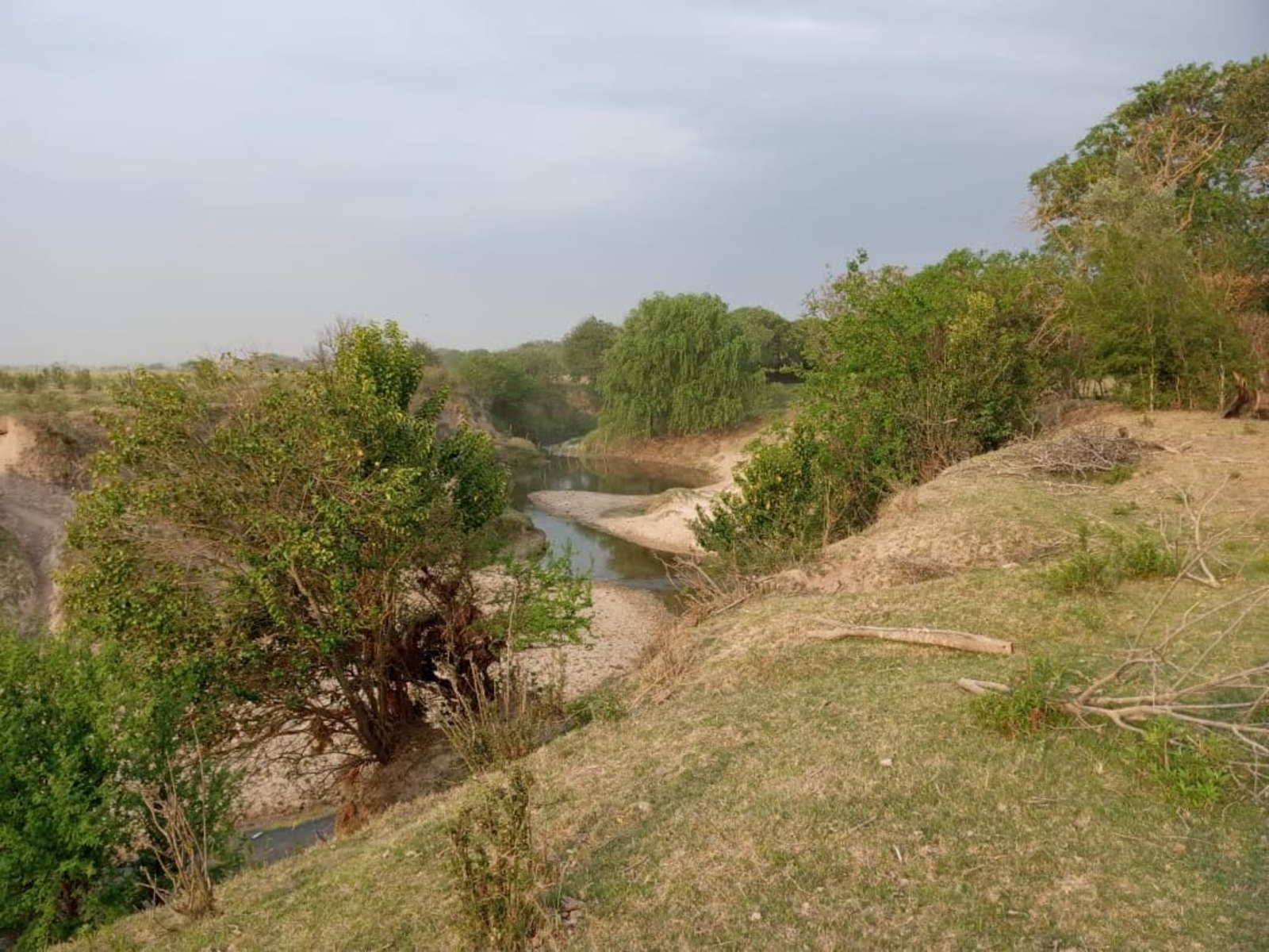 10 HAS DE CAMPO EN QUEBRACHITOS – DEPARTAMENTO VICTORIA - 8