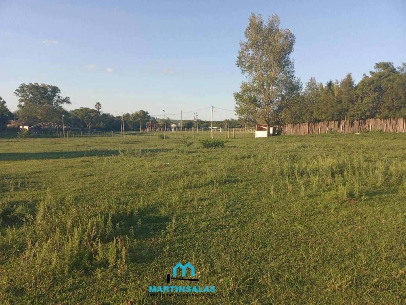 VICTORIA ENTRE RIOS - ESPECTACULAR TERRENO EN ZONA ABADÍA IDEAL PARA EMPRENDIMIENTO TURISTICO. — foto 5