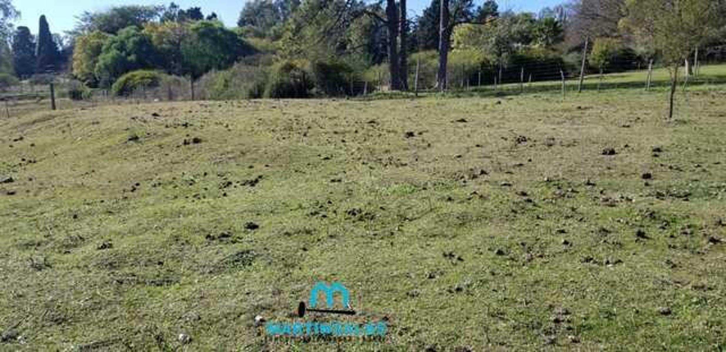 VICTORIA ENTRE RIOS - ESPECTACULAR TERRENO EN ZONA ABADÍA IDEAL PARA EMPRENDIMIENTO TURISTICO. — foto 6