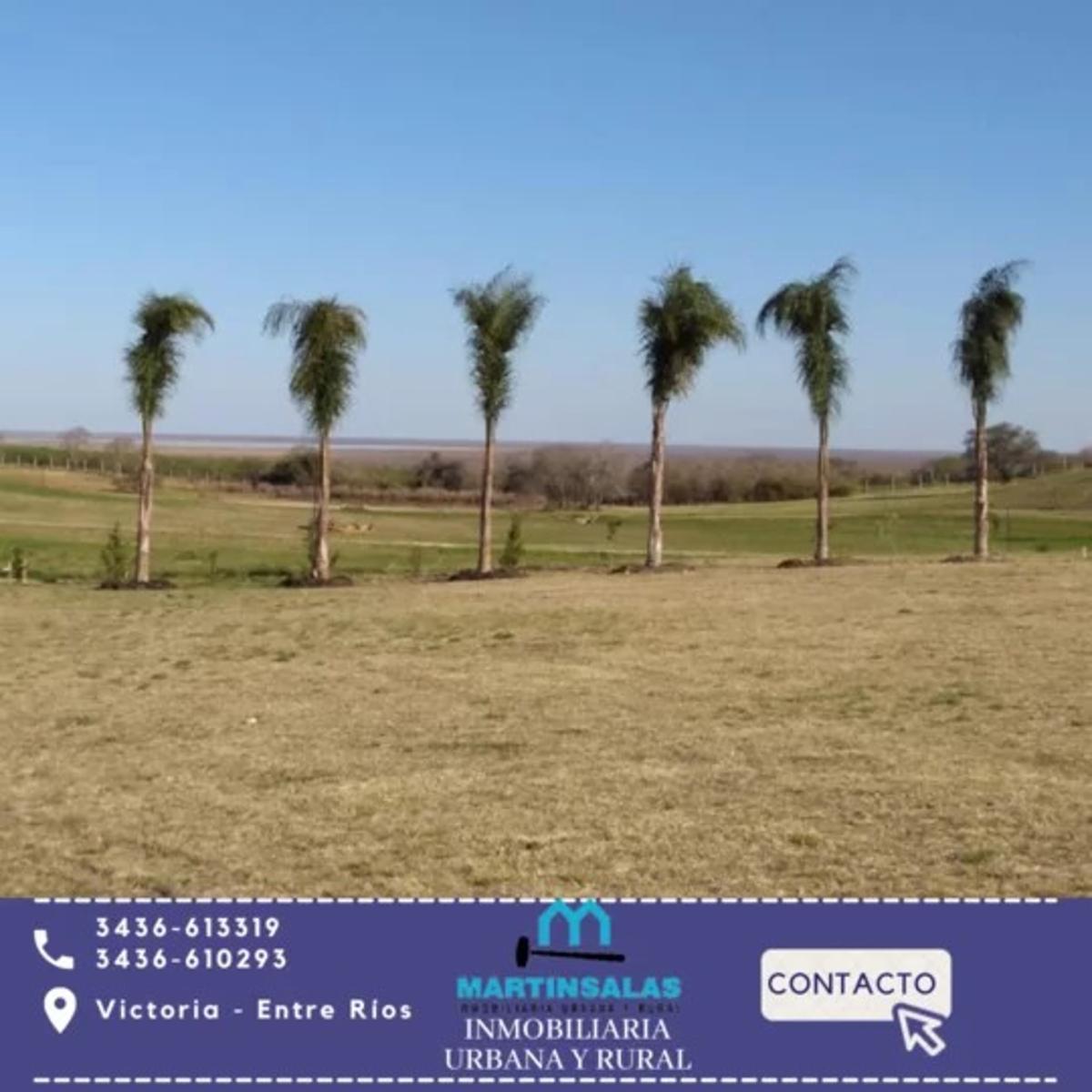 EL TERRENO DE TUS SUEÑOS EN VICTORIA ENTRE RIOS — foto 2