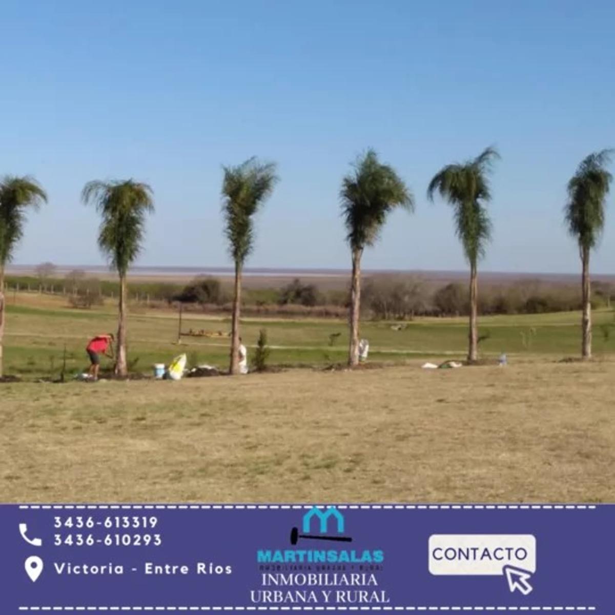 EL TERRENO DE TUS SUEÑOS EN VICTORIA ENTRE RIOS — foto 8