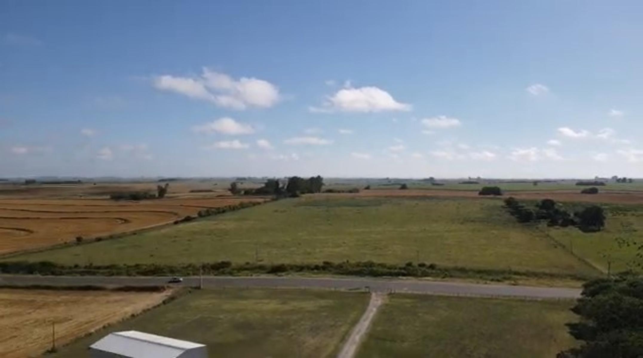 Campo Agricola en Victoria - Entre Ríos (32 Has) - 4