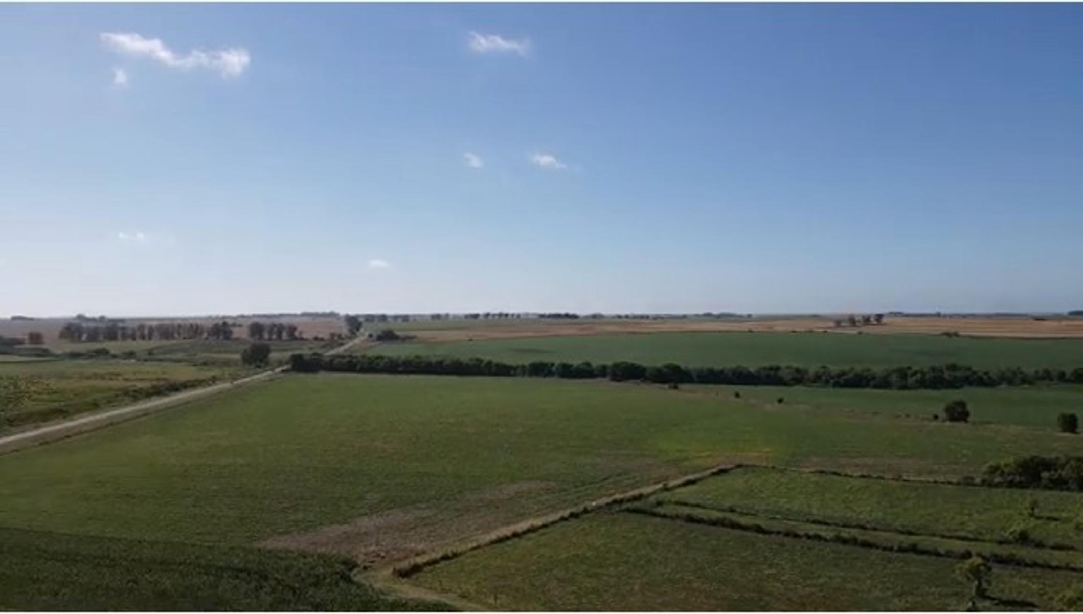 Campo Agricola en Victoria - Entre Ríos (32 Has) - 5