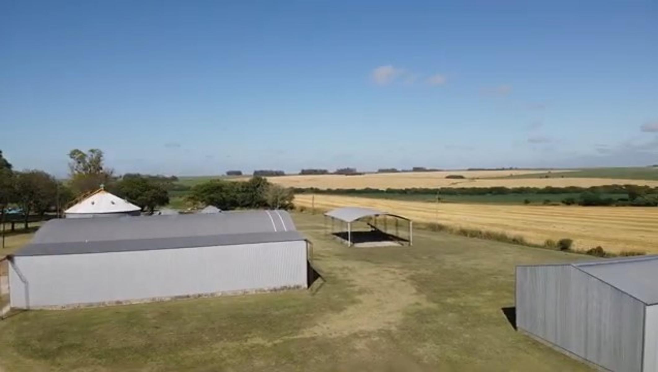 Campo Agricola en Victoria - Entre Ríos (32 Has) - 10