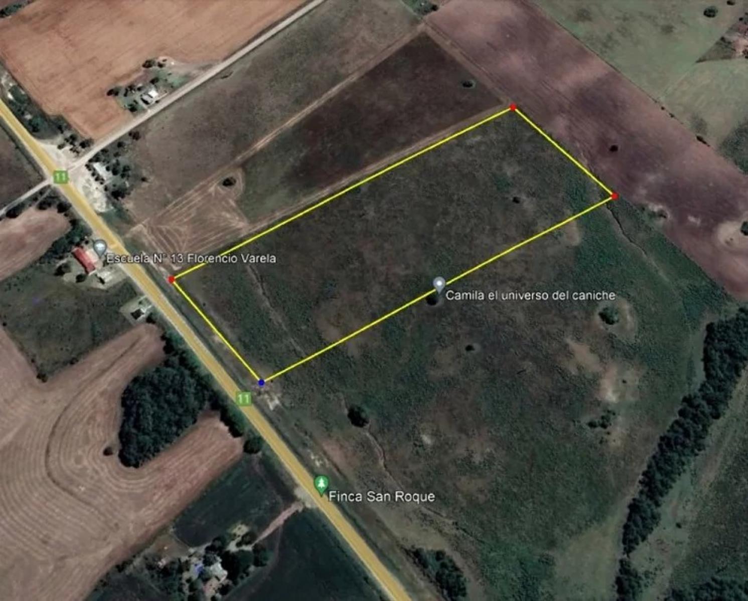CAMPO DE 8 HAS. SOBRE LA RUTA - RINCON DE NOGOYÁ - VICTORIA ENTRE RIOS - 2