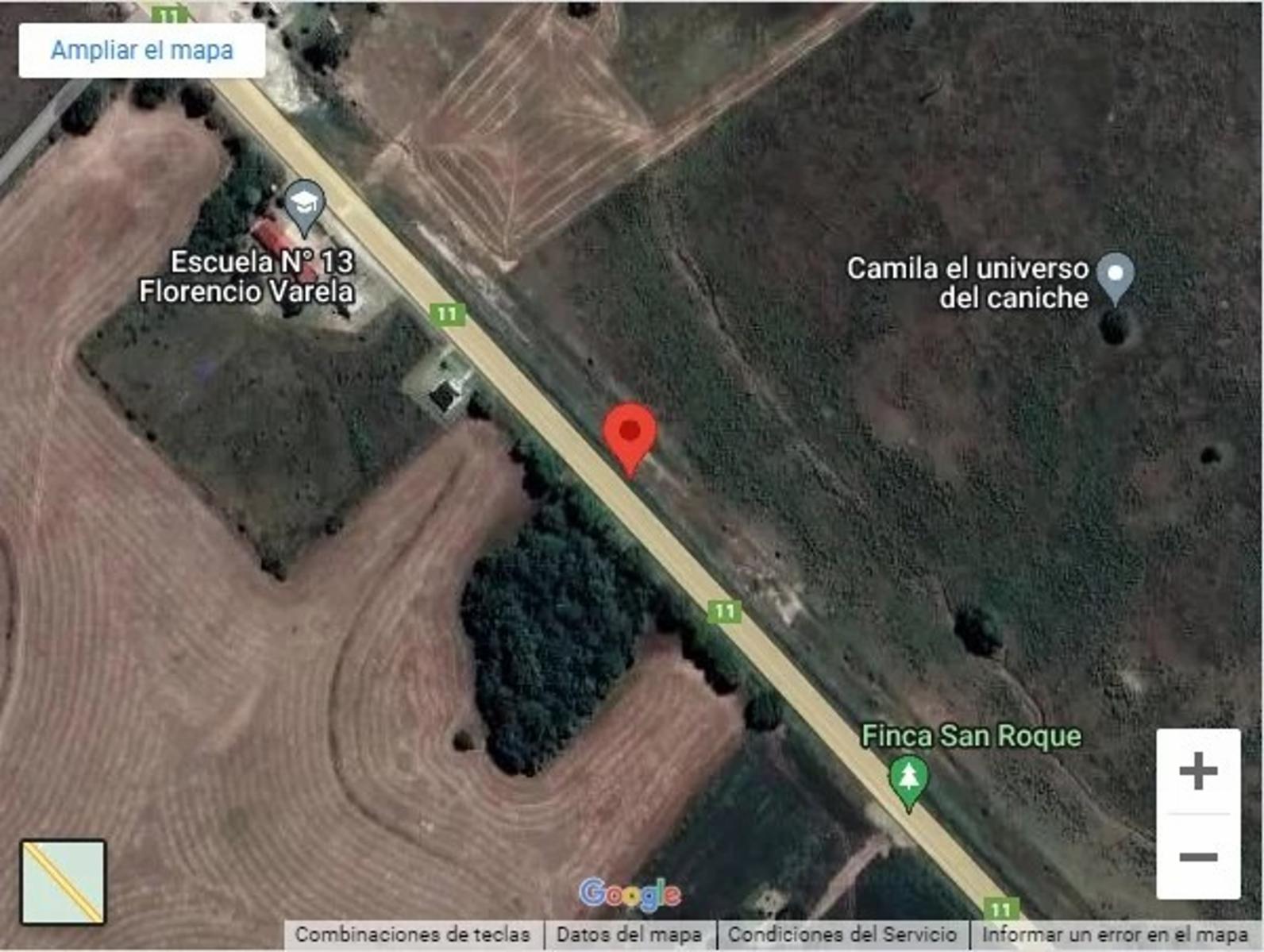 CAMPO DE 8 HAS. SOBRE LA RUTA - RINCON DE NOGOYÁ - VICTORIA ENTRE RIOS - 3