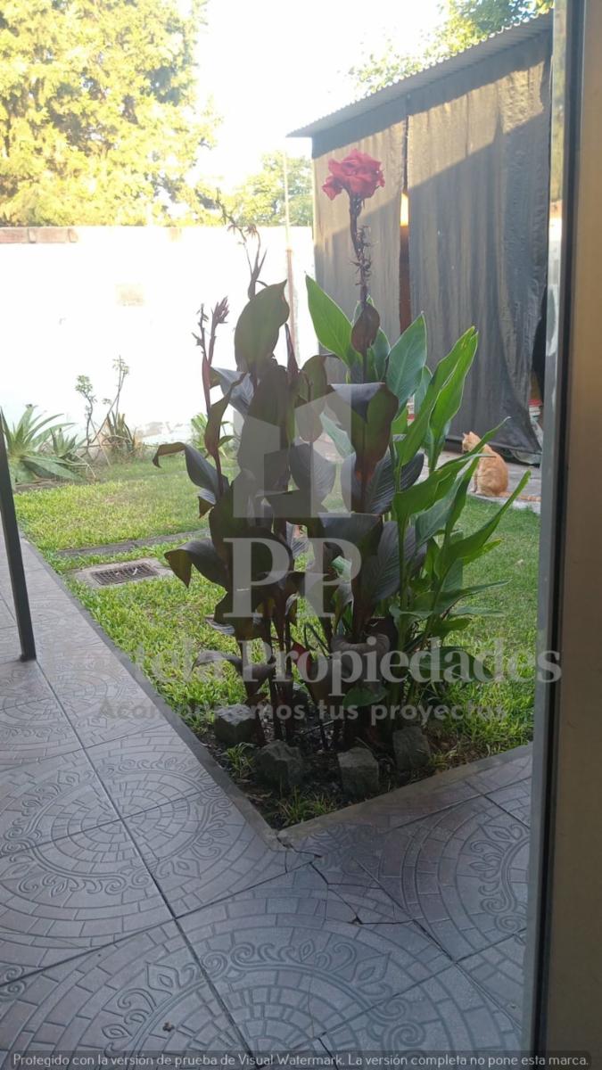 CASA CON NEGOCIO Y DEPARTAMENTOS EN ITUZAINGO NORTE — foto 9