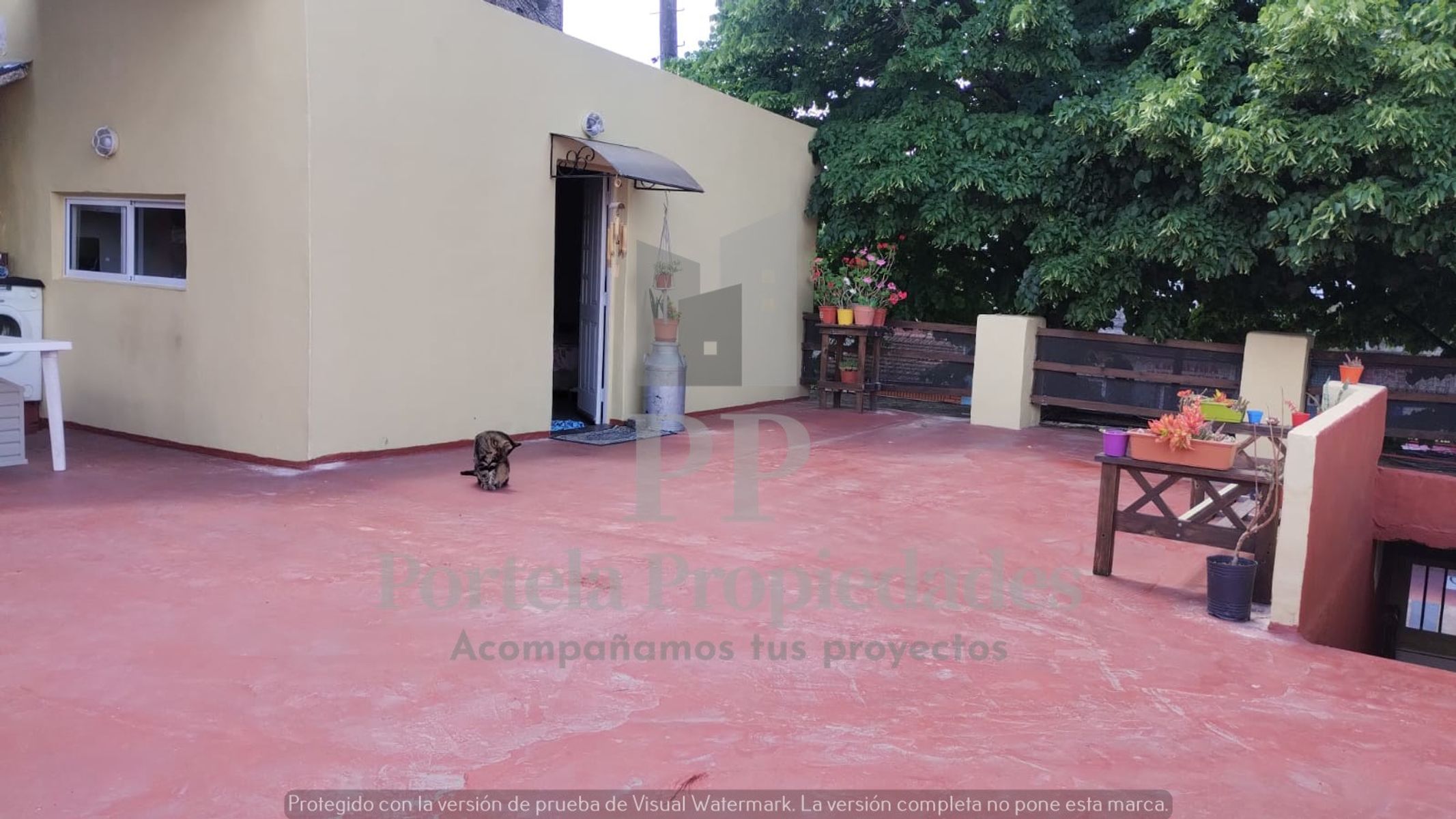 CASA CON NEGOCIO Y DEPARTAMENTOS EN ITUZAINGO NORTE — foto 13