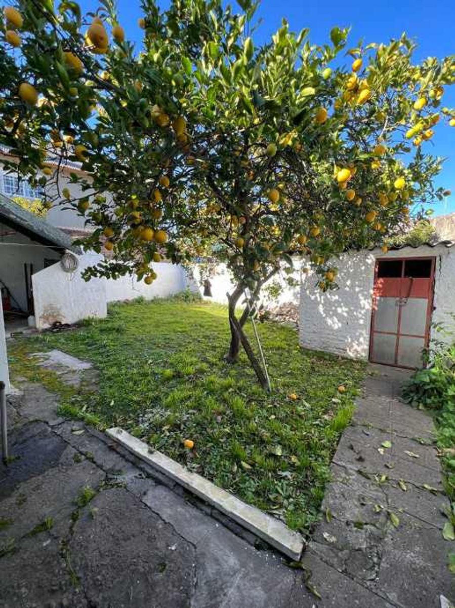 CASA AMERICANA APTO CRÉDITO EN CASTELAR SUR — foto 5