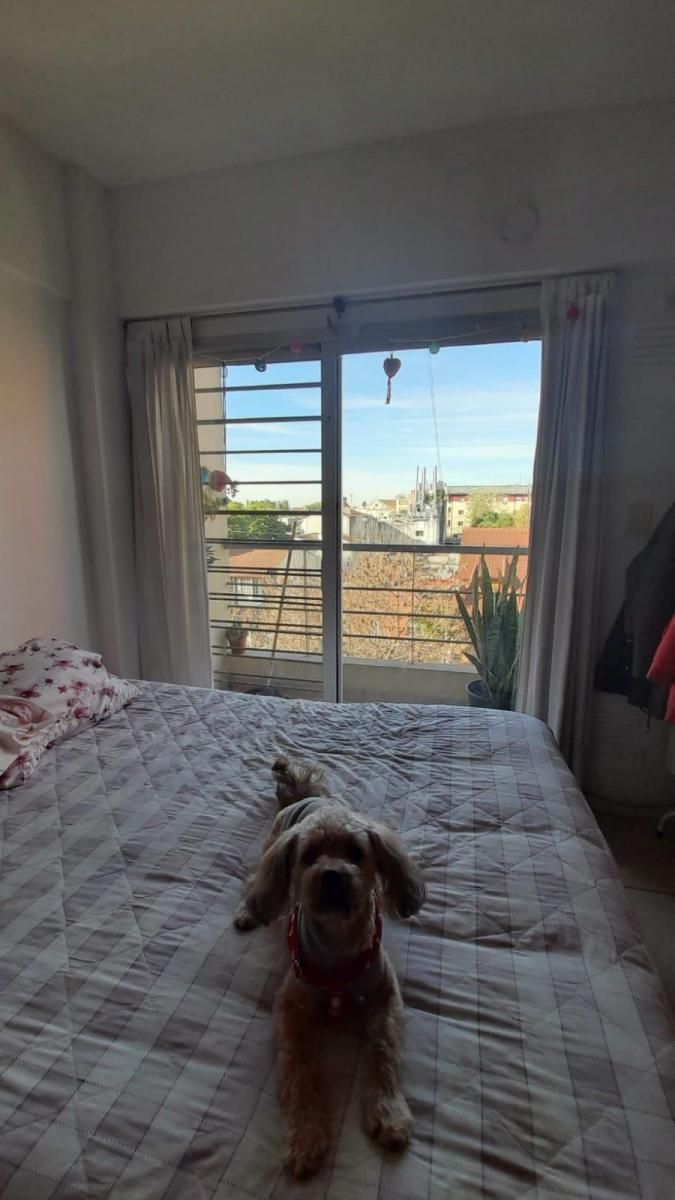 VENTA MONOAMBIENTE APTO CRÉDITO CON PILETA EN MORÓN - 4