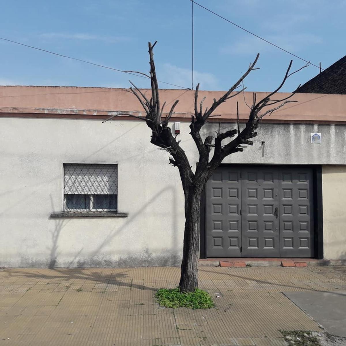 CASA SOBRE LOTE DE 10 X 50. — foto 8