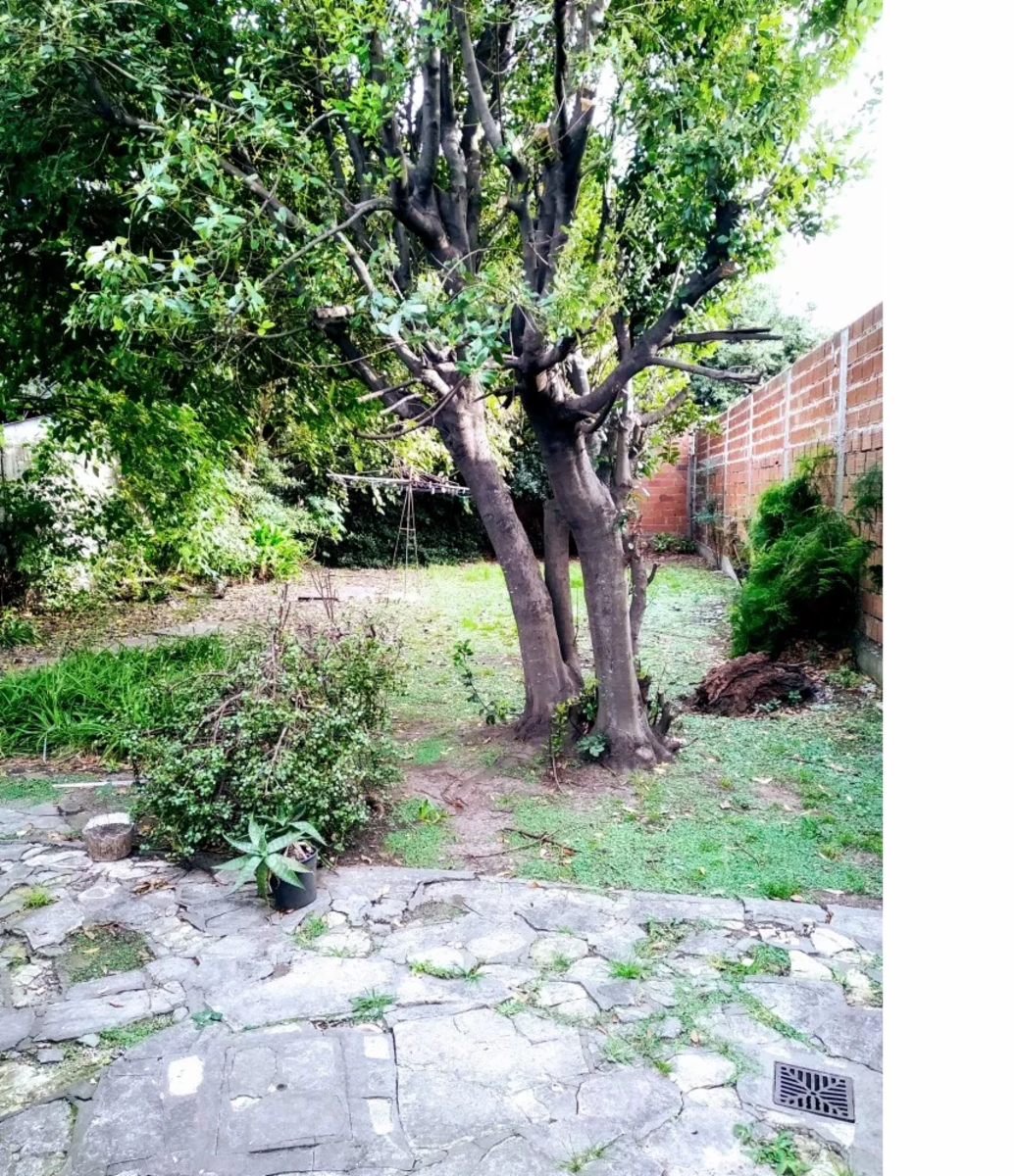 Casa de 3 ambientes a refaccionar o demoler sobre un amplio lote 380mts2 — foto 3