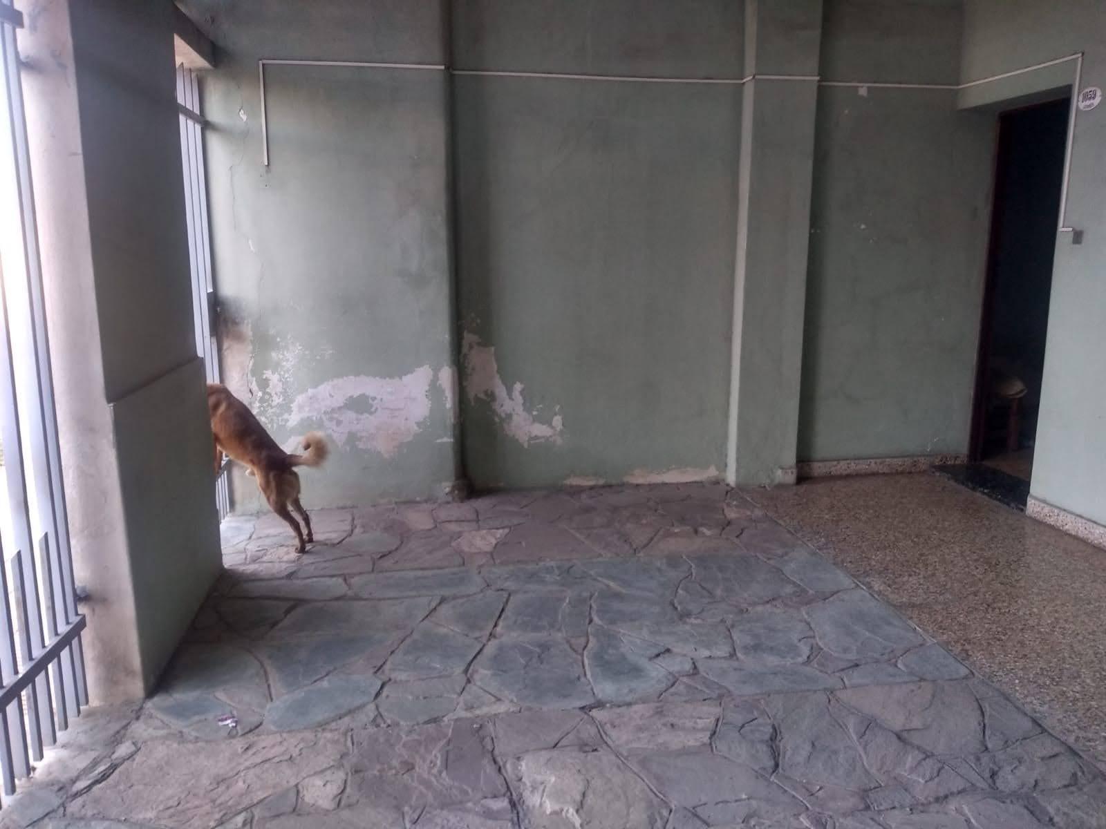 En Venta - Casa Americana S/ Lote 10x34 Para Refaccionar — foto 15