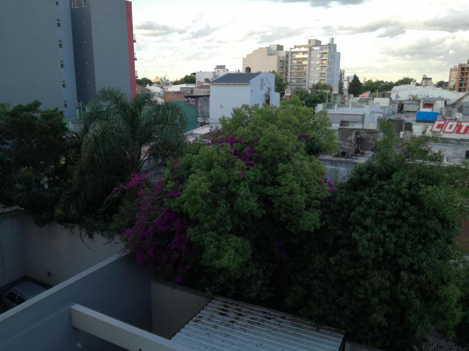 2 Ambientes nuevo con renta - 20