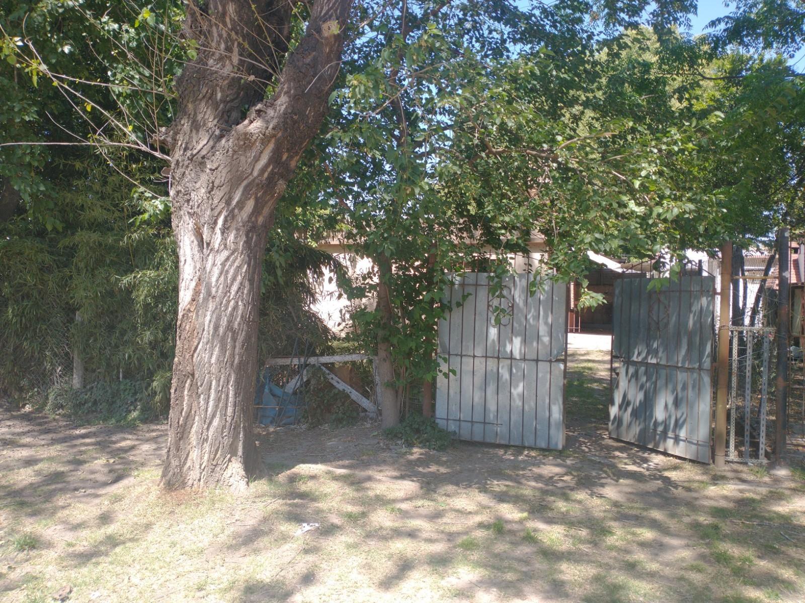 Tres casas en un lote de 655 m2 a una Cuadra de Martín Fierro — foto 12