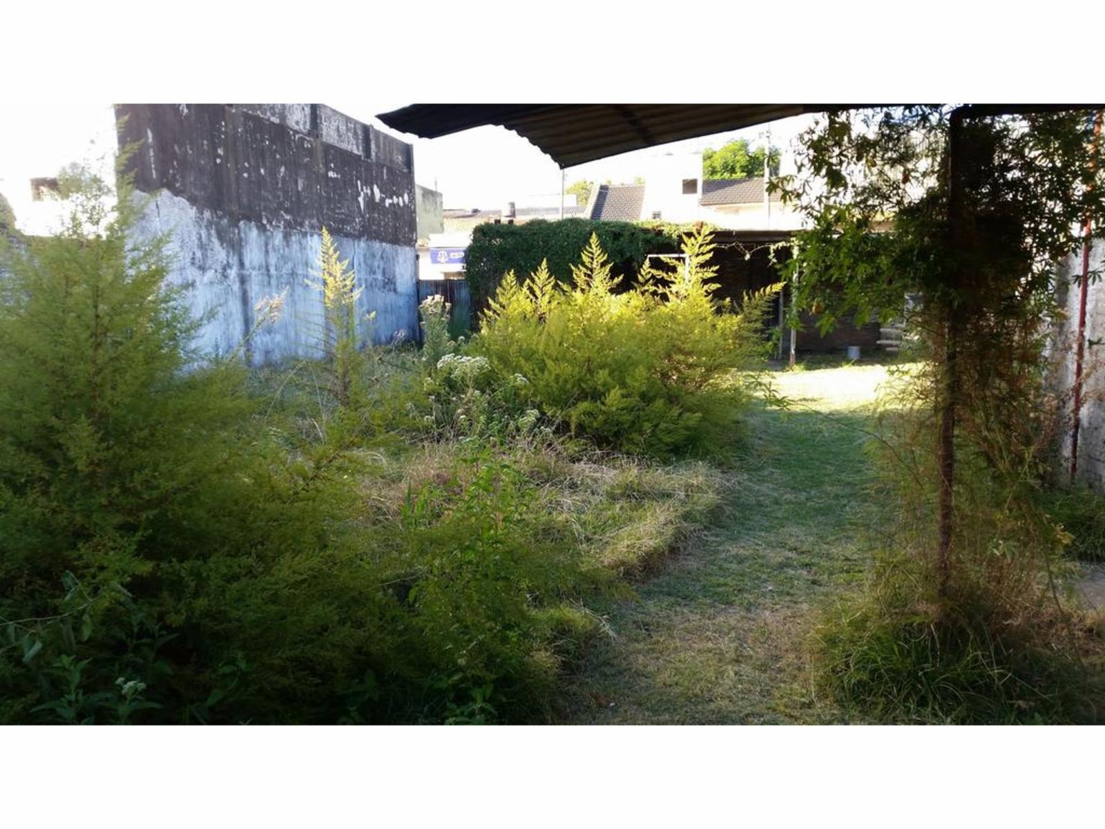 EXCELENTE LOTE DE 320M2 A 50 METROS DE AV J. M. DE ROSAS — foto 5