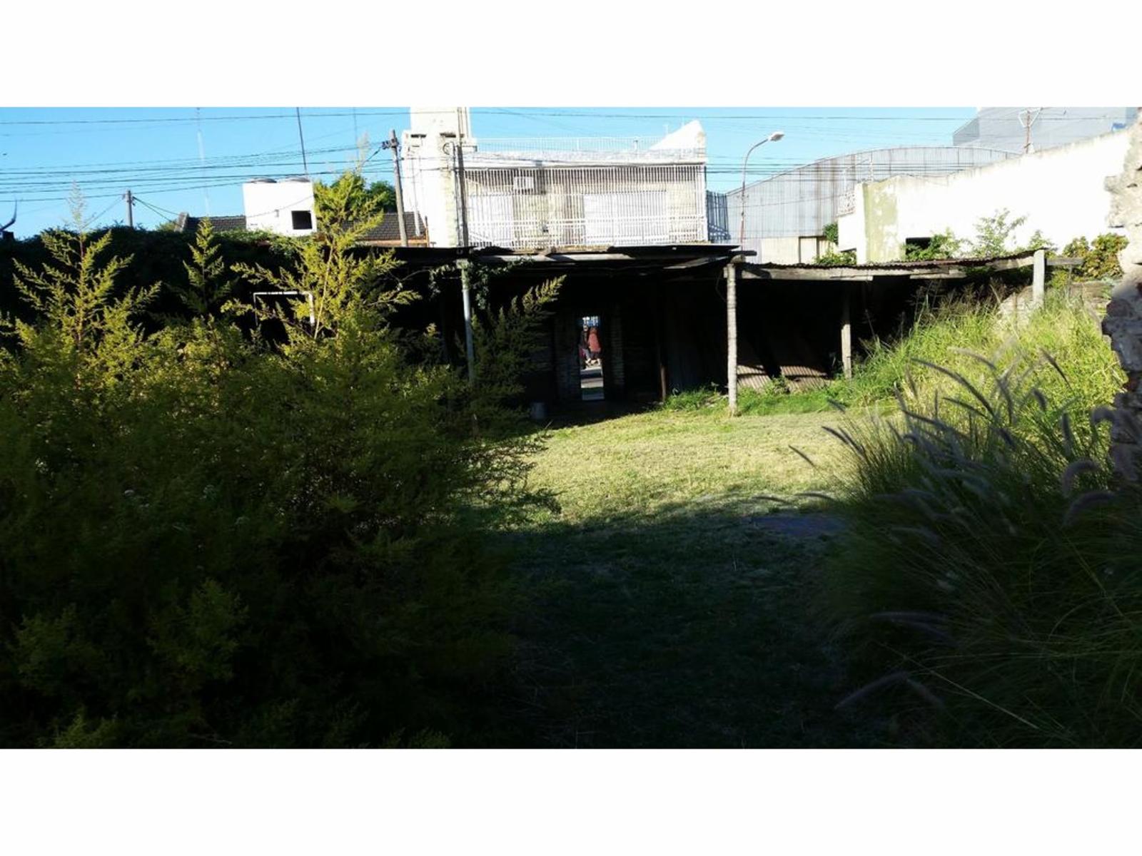 EXCELENTE LOTE DE 320M2 A 50 METROS DE AV J. M. DE ROSAS — foto 6