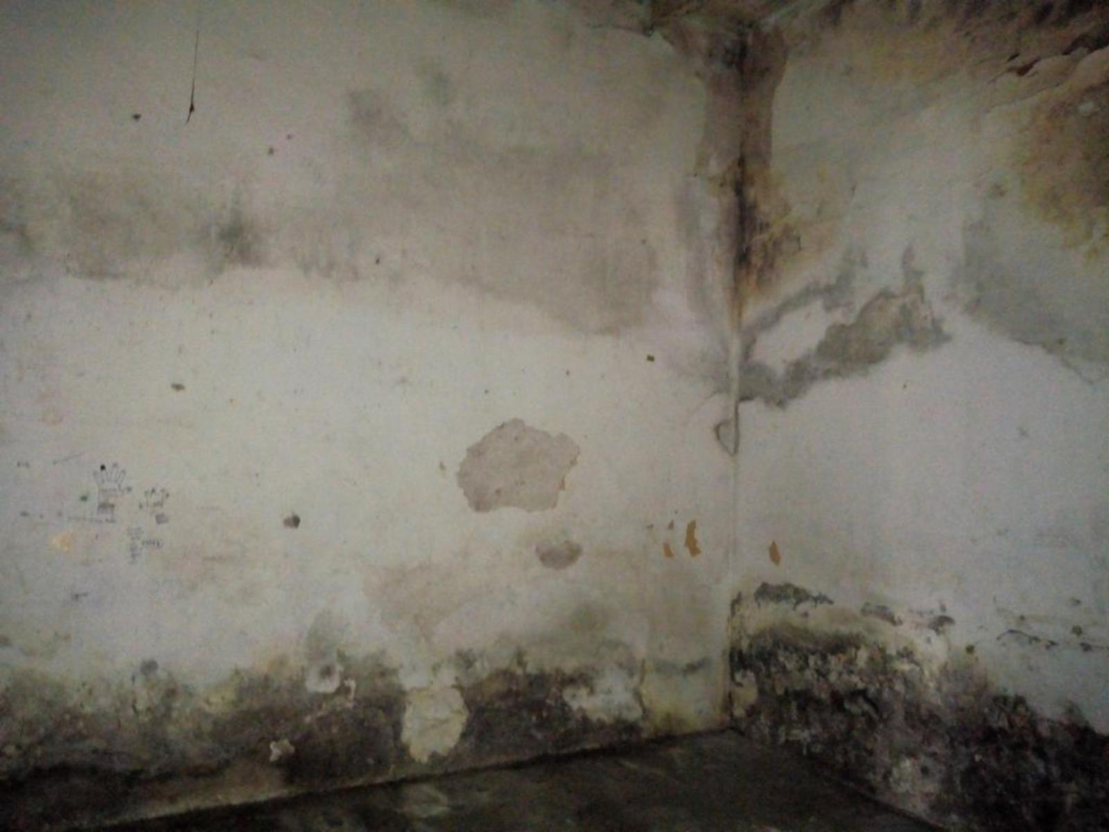 TERRENO DE 264 M² EN ESQUINA AVENIDA GENERAL PAZ Y BAIGORRIA CON CASA Y GALPÓN — foto 12