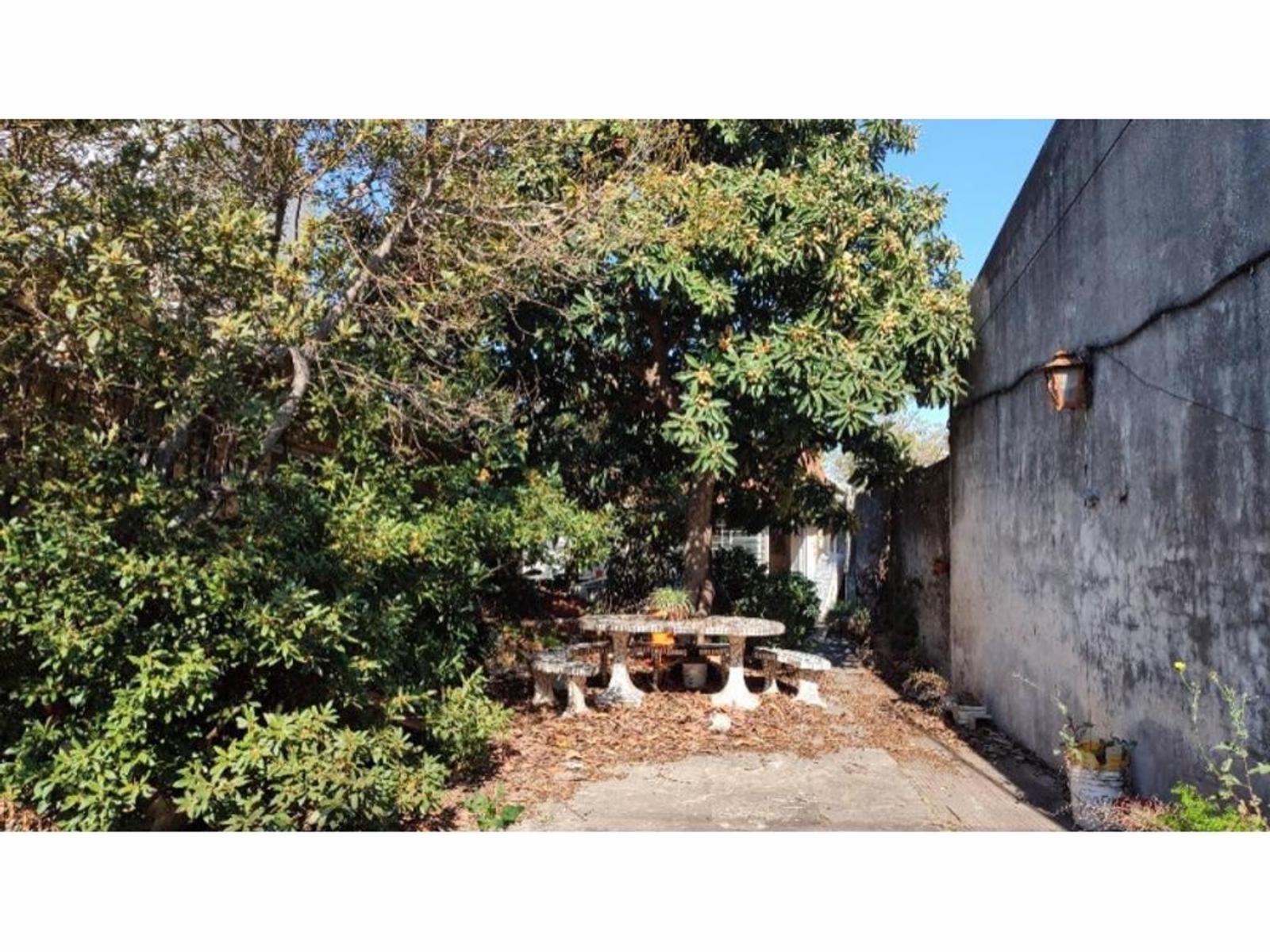 Terreno de 293,8m² (10 X 29,38) con casa de 3 ambientes con pileta y galpón — foto 2