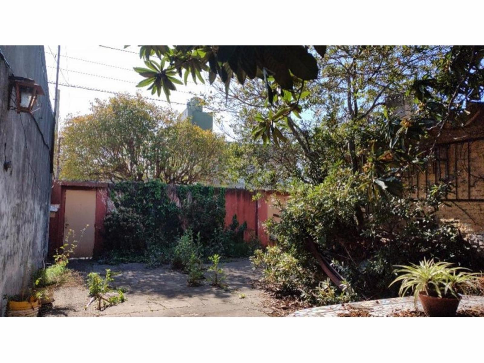 Terreno de 293,8m² (10 X 29,38) con casa de 3 ambientes con pileta y galpón — foto 3