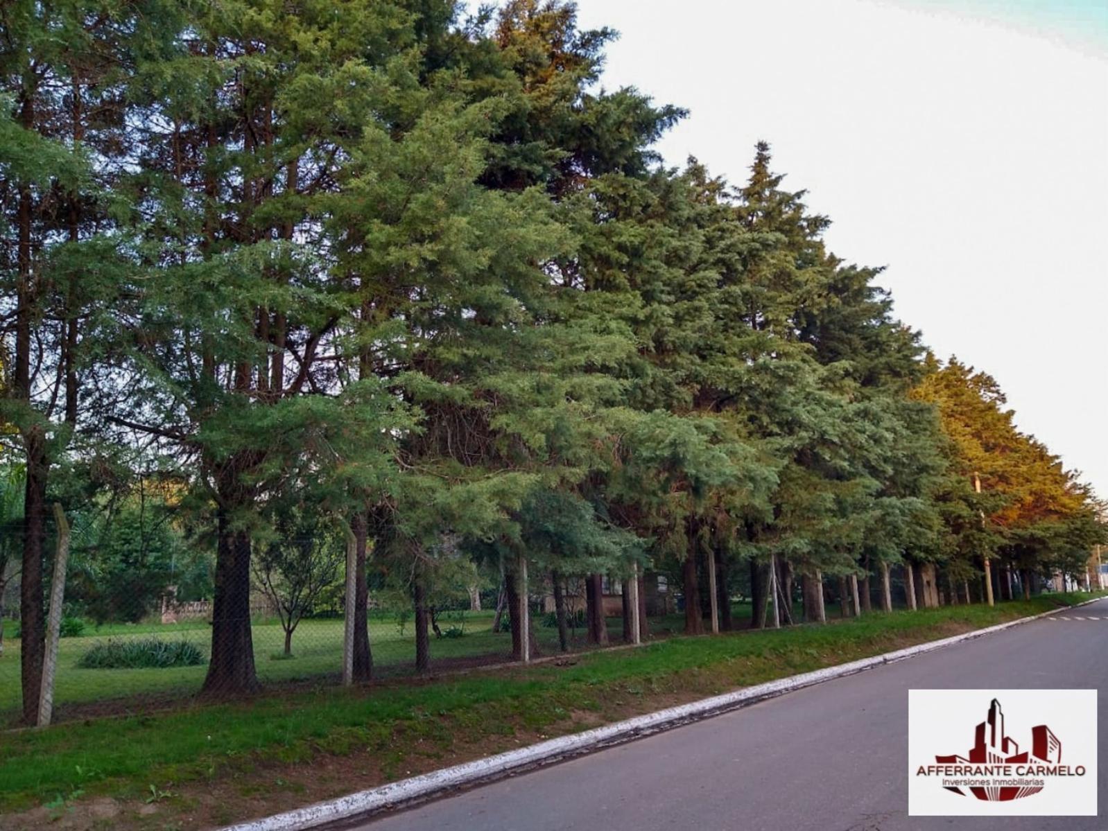 Venta 2 Lotes Juntos o separados Ubicados en Virrey Del Pino, Km 46, Barrio Cruz del Sur. Seguridad las 24 HS, Barrio cerrado. — foto 2