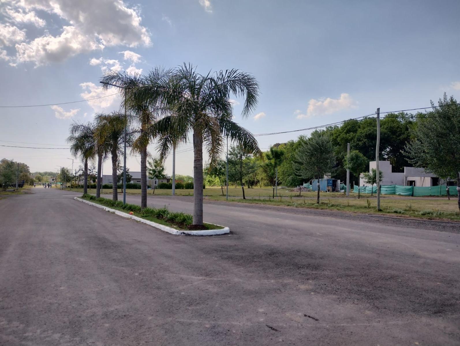 «Â»Barrio Cerrado Pradera 57 nuevo desarrollo Inmobiliario en CaÃ±uelas con 278 LotesÂ»Â» — foto 3