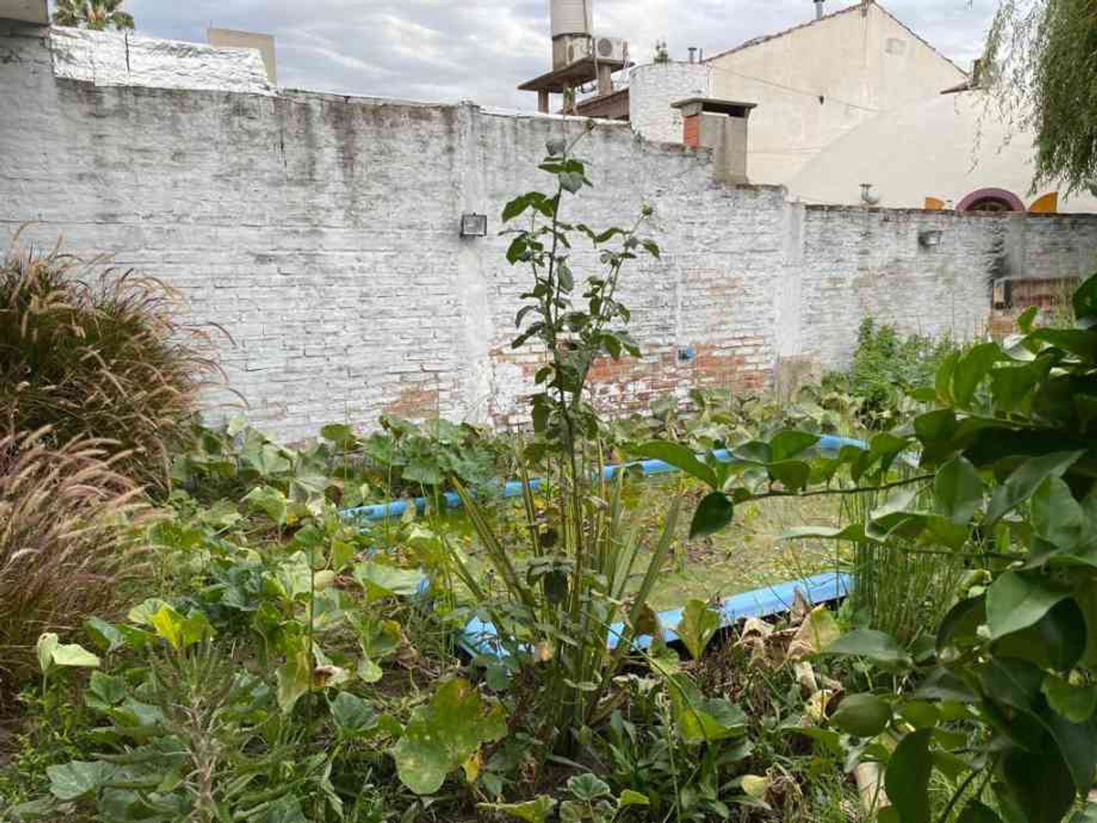 CASA DE 3 AMBIENTES EN VENTA - 16