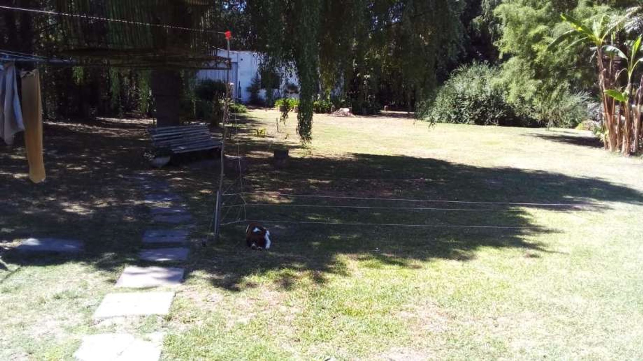 CASA QUINTA DE 3 AMBIENTES EN LOTE DE 1500 MTS2 -BRANDSEN - 23