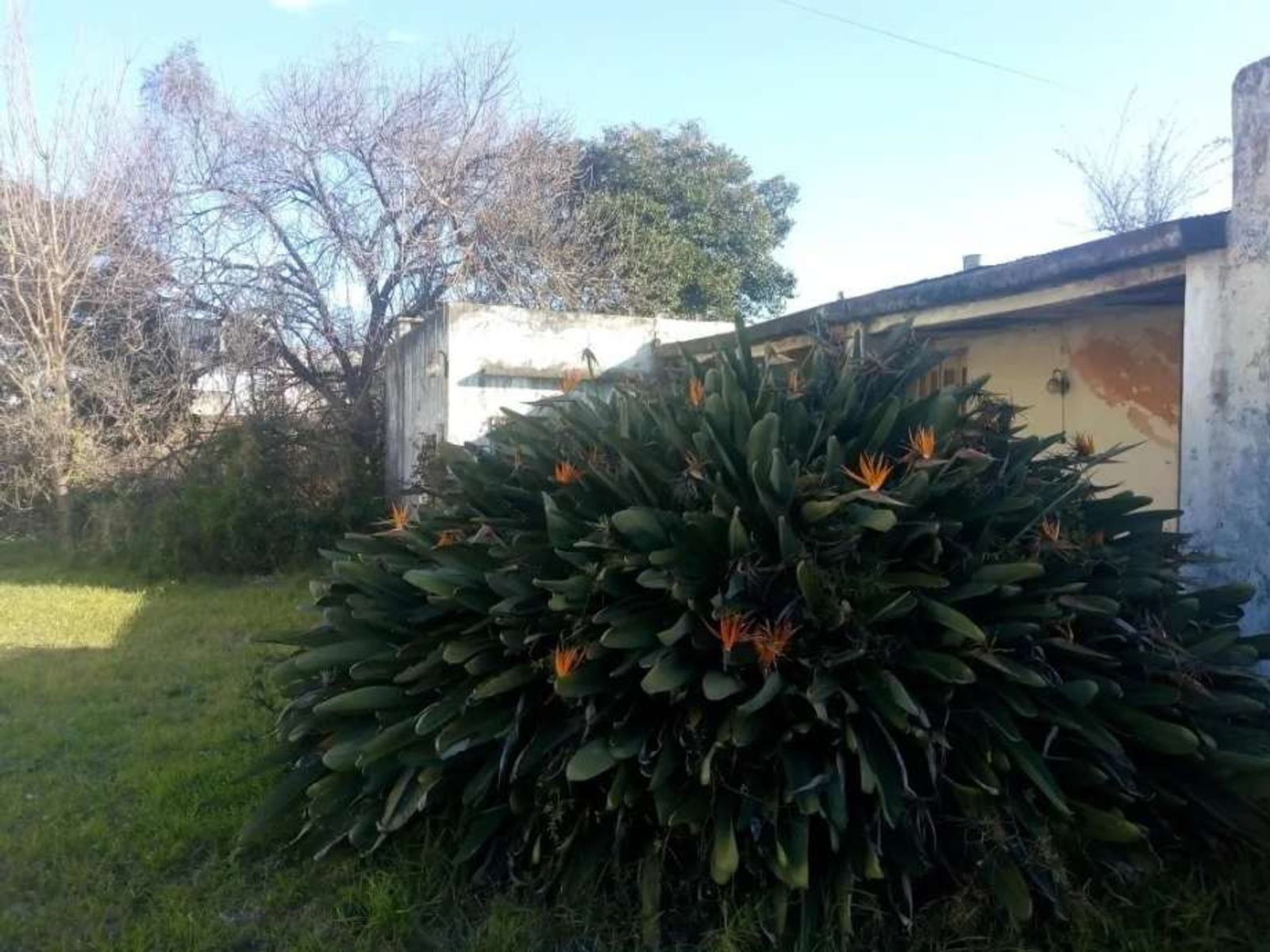 VENTA DE LOTES EN CONJUNTO - CASTELAR NORTE - 4
