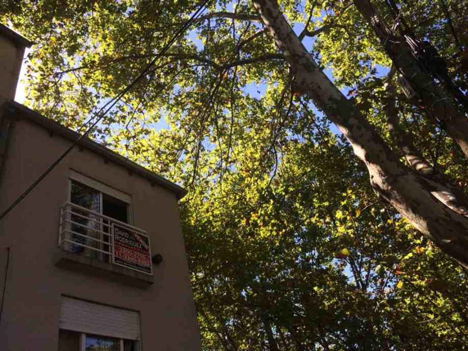 DEPARTAMENTO MONOAMBIENTE MUY LUMINOSO — foto 2