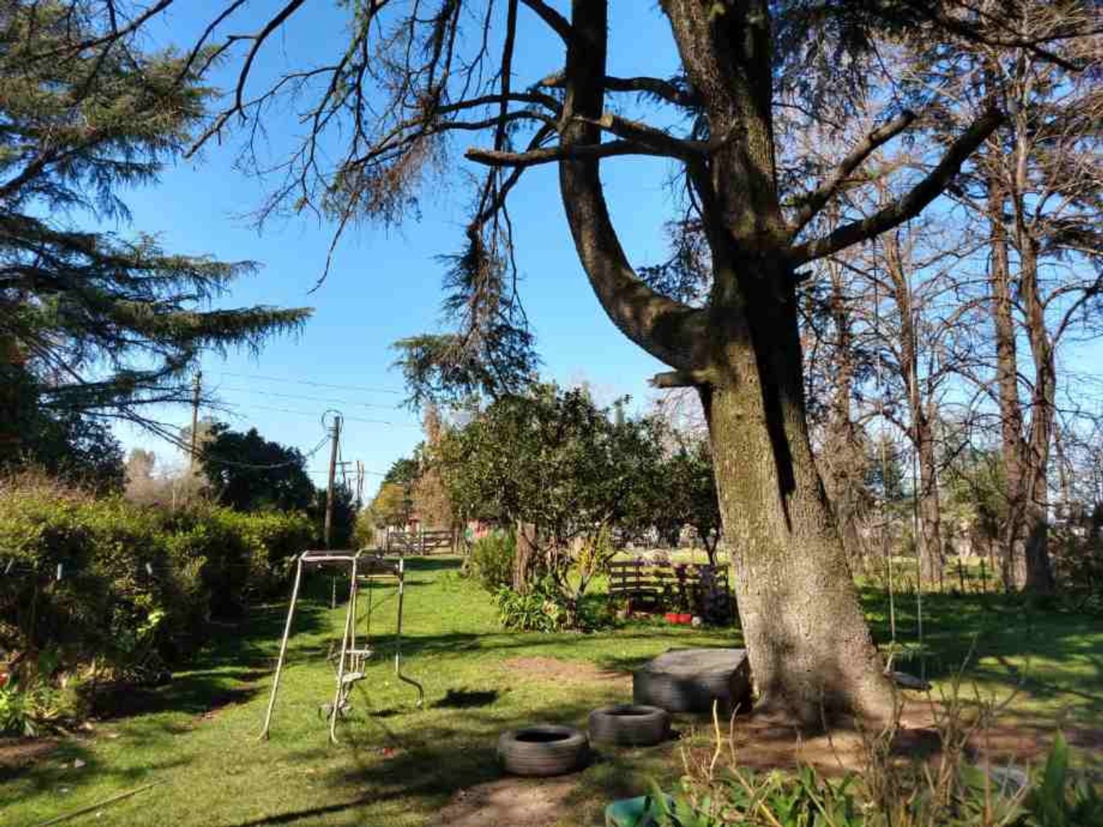 VENTA DE 4 HECTAREAS EN ZONA SUR DE MORON - 2