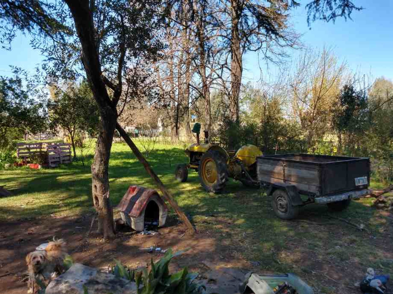 VENTA DE 4 HECTAREAS EN ZONA SUR DE MORON - 3
