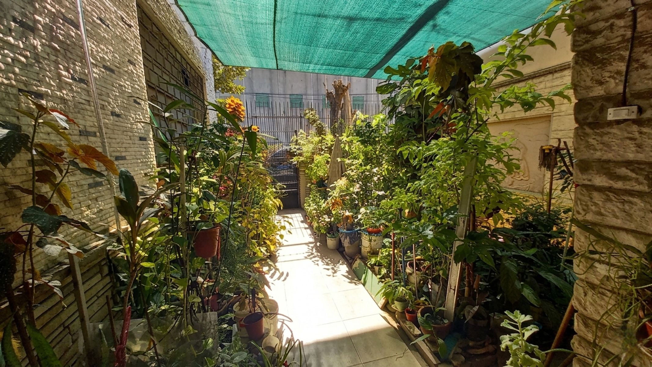 Completa Propiedad Multifamiliar con Casa Principal, Departamento Independiente y Gran Galpón en San Pedro 1632, La Tablada — foto 2