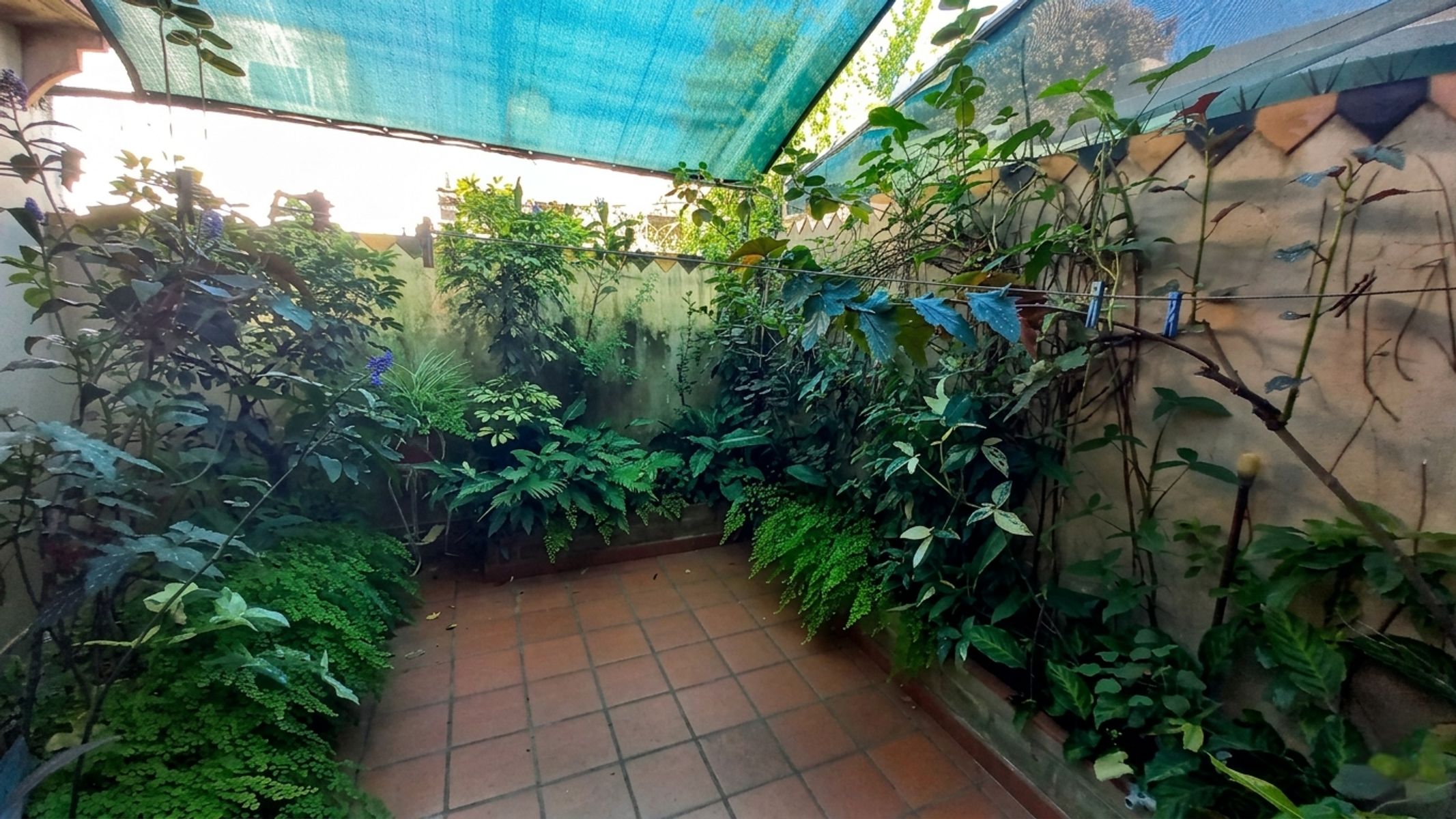 Completa Propiedad Multifamiliar con Casa Principal, Departamento Independiente y Gran Galpón en San Pedro 1632, La Tablada — foto 12