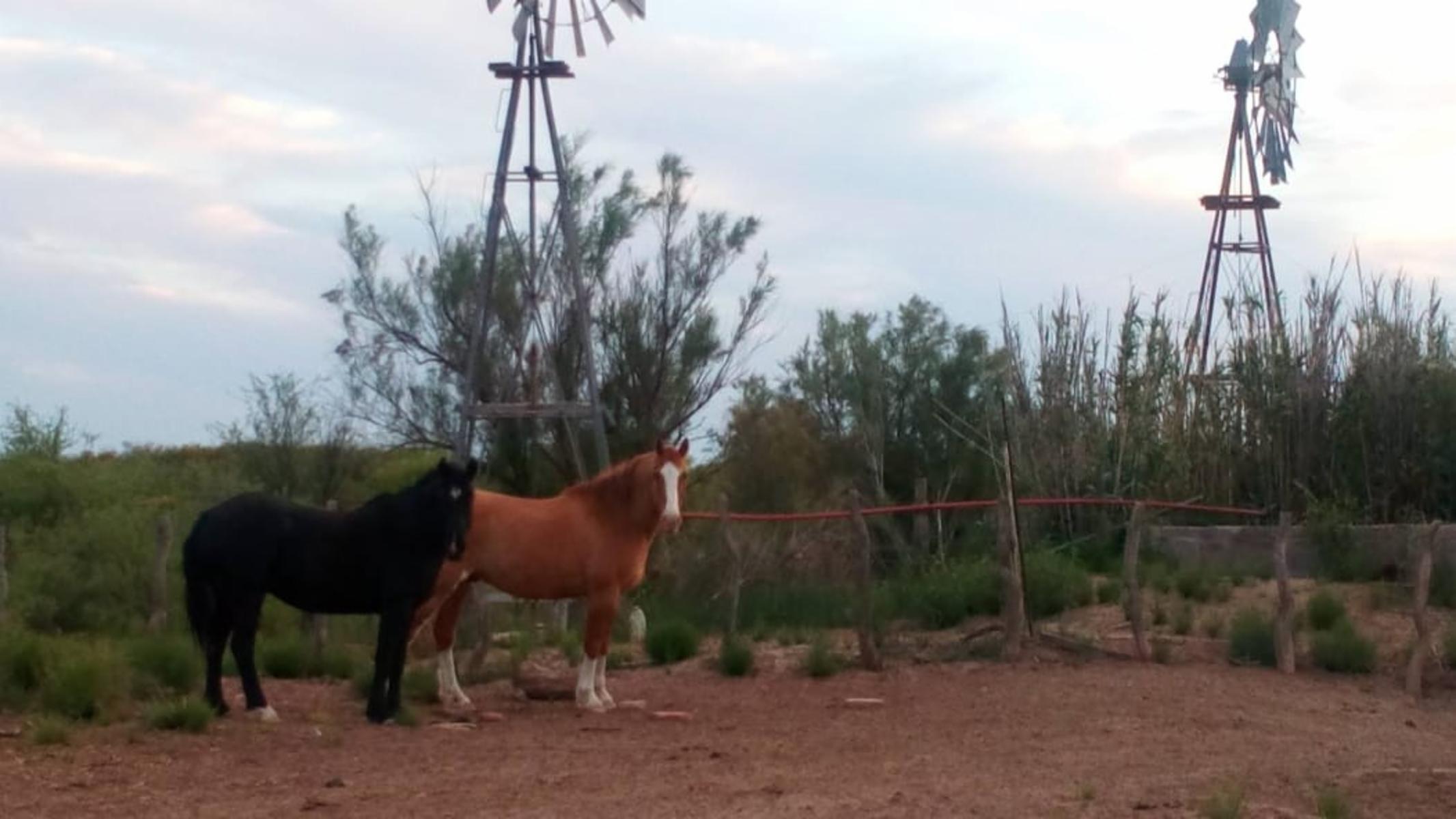 VENDO DOS CAMPOS EN LIMAY MAHUIDA, LA PAMPA . 5000 HECTAREAS - 2