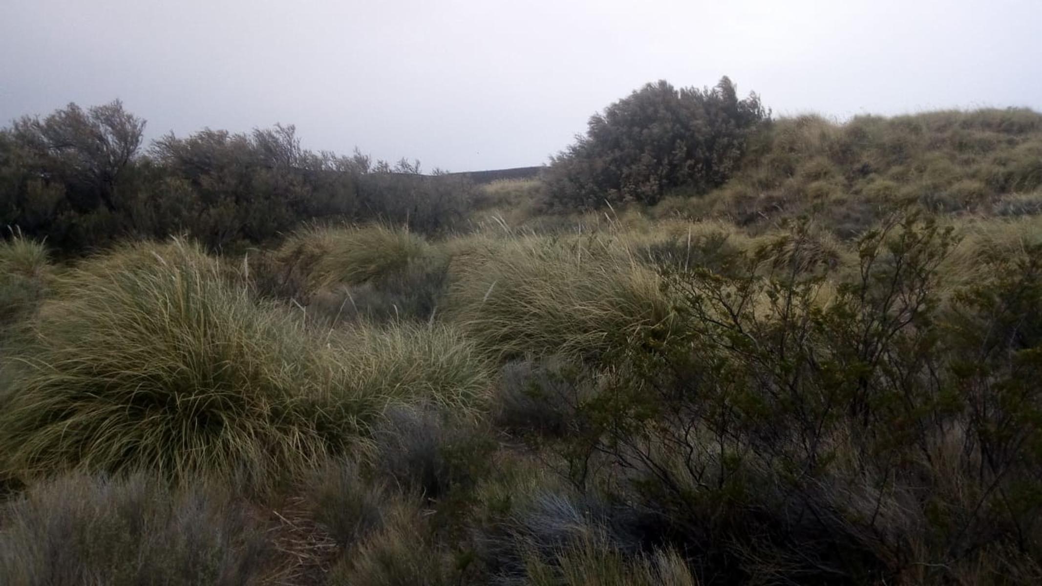 VENDO DOS CAMPOS EN LIMAY MAHUIDA, LA PAMPA . 5000 HECTAREAS - 6