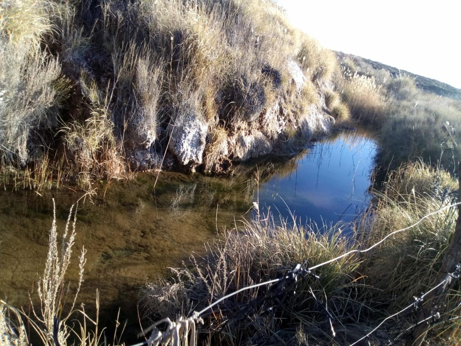 VENDO DOS CAMPOS EN LIMAY MAHUIDA, LA PAMPA . 5000 HECTAREAS - 8